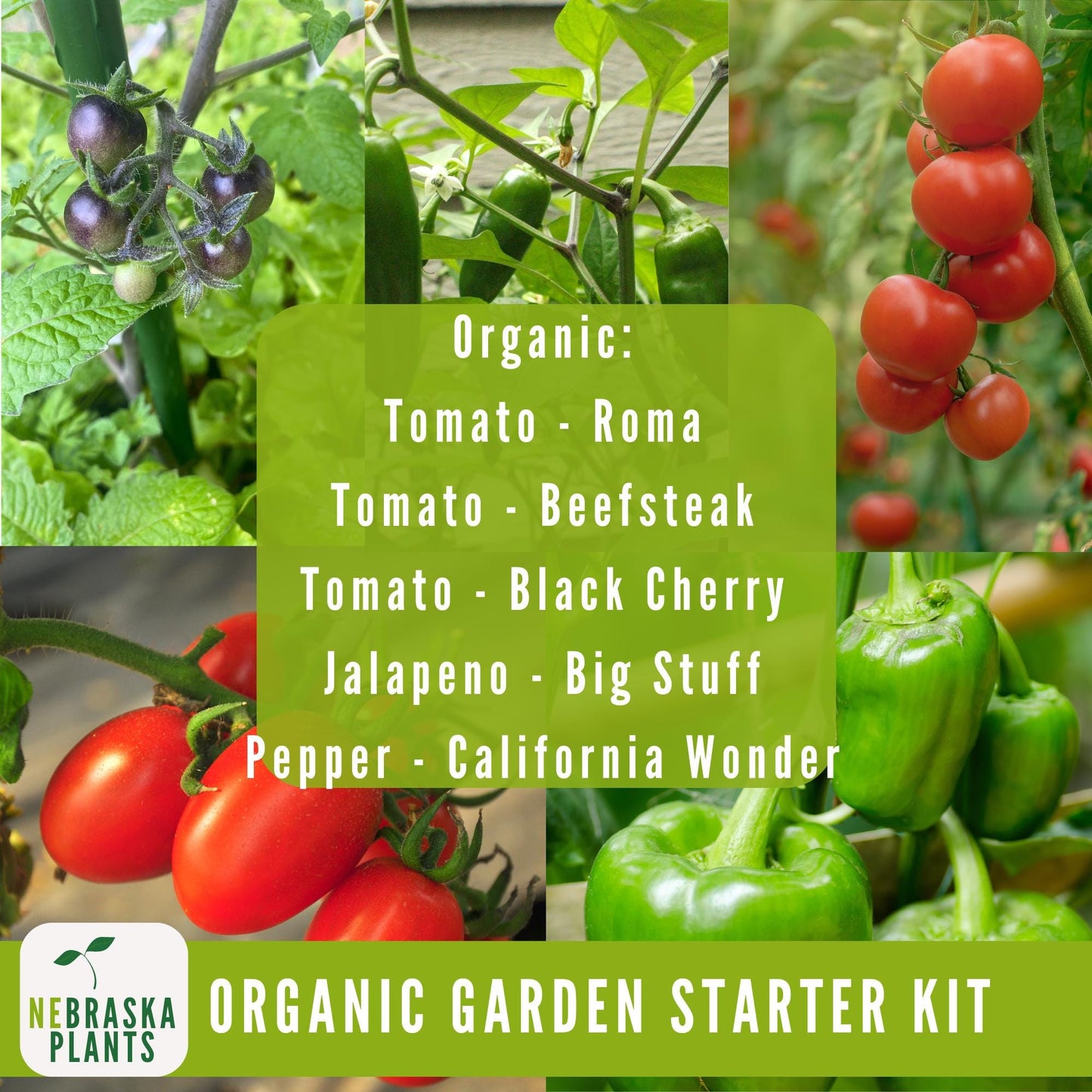 Organic Garden Starter Kit - 25 Organic Heirloom Seed Varieties + Plant Markers and Gardening Journal - Nebraska Seeds