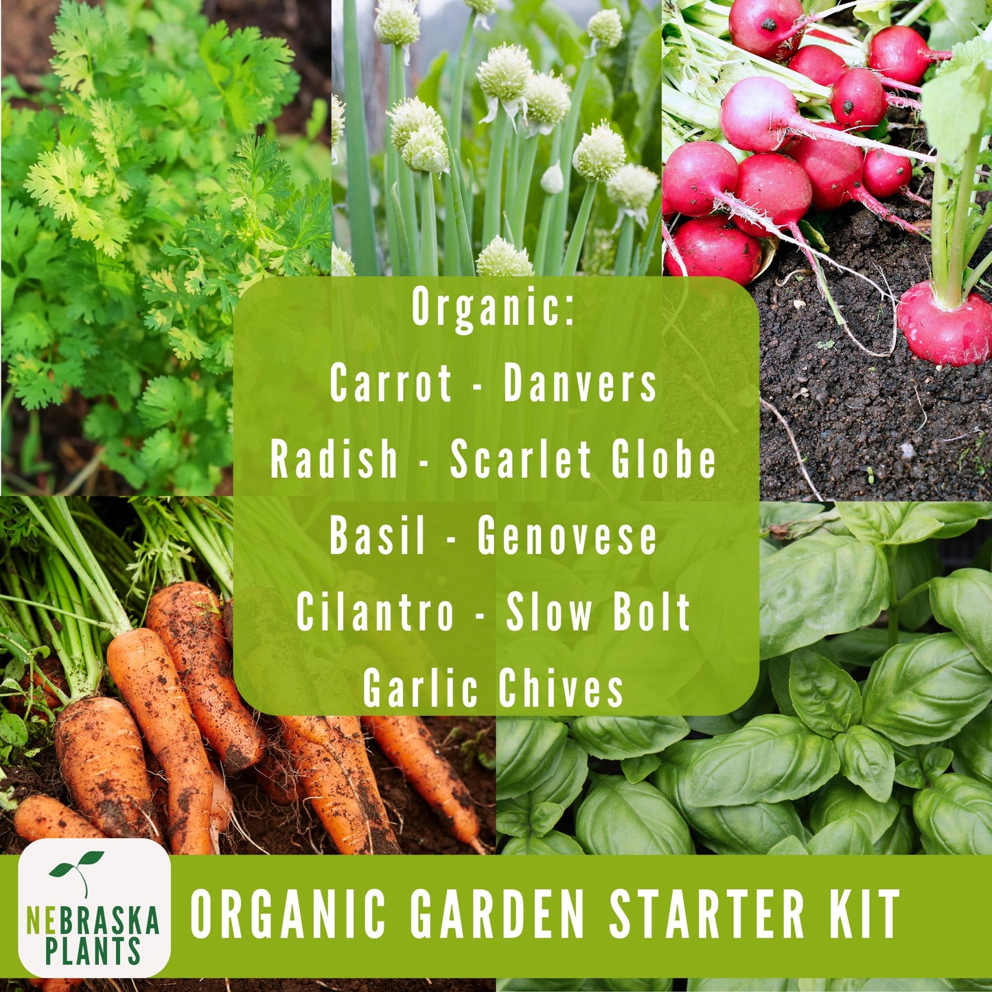 Organic Garden Starter Kit - 25 Organic Heirloom Seed Varieties + Plant Markers and Gardening Journal - Nebraska Seeds