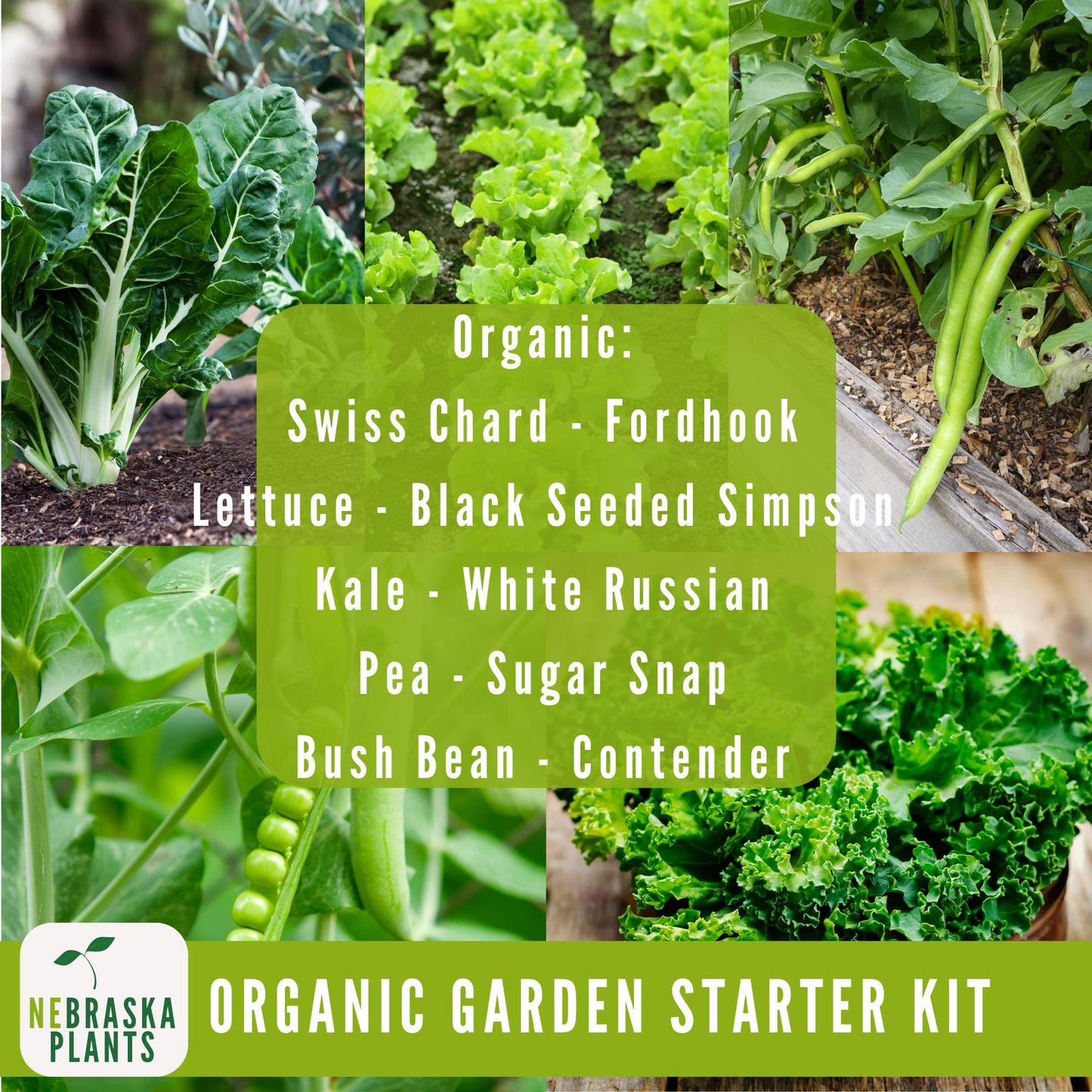 Organic Garden Starter Kit - 25 Organic Heirloom Seed Varieties + Plant Markers and Gardening Journal - Nebraska Seeds