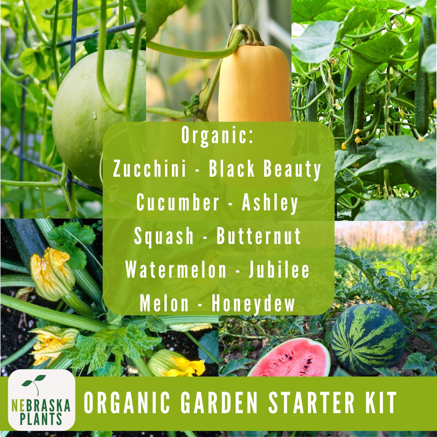 Organic Garden Starter Kit - 25 Organic Heirloom Seed Varieties + Plant Markers and Gardening Journal - Nebraska Seeds