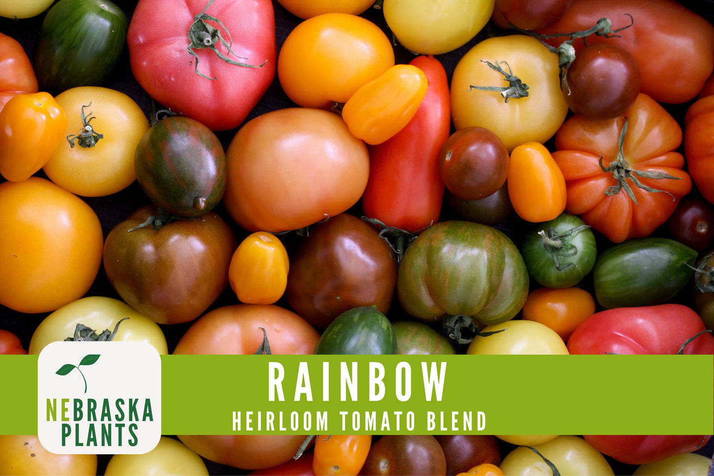 Rainbow Tomato Seeds - Heirloom Rainbow Tomato Seed Mix - Nebraska Seeds