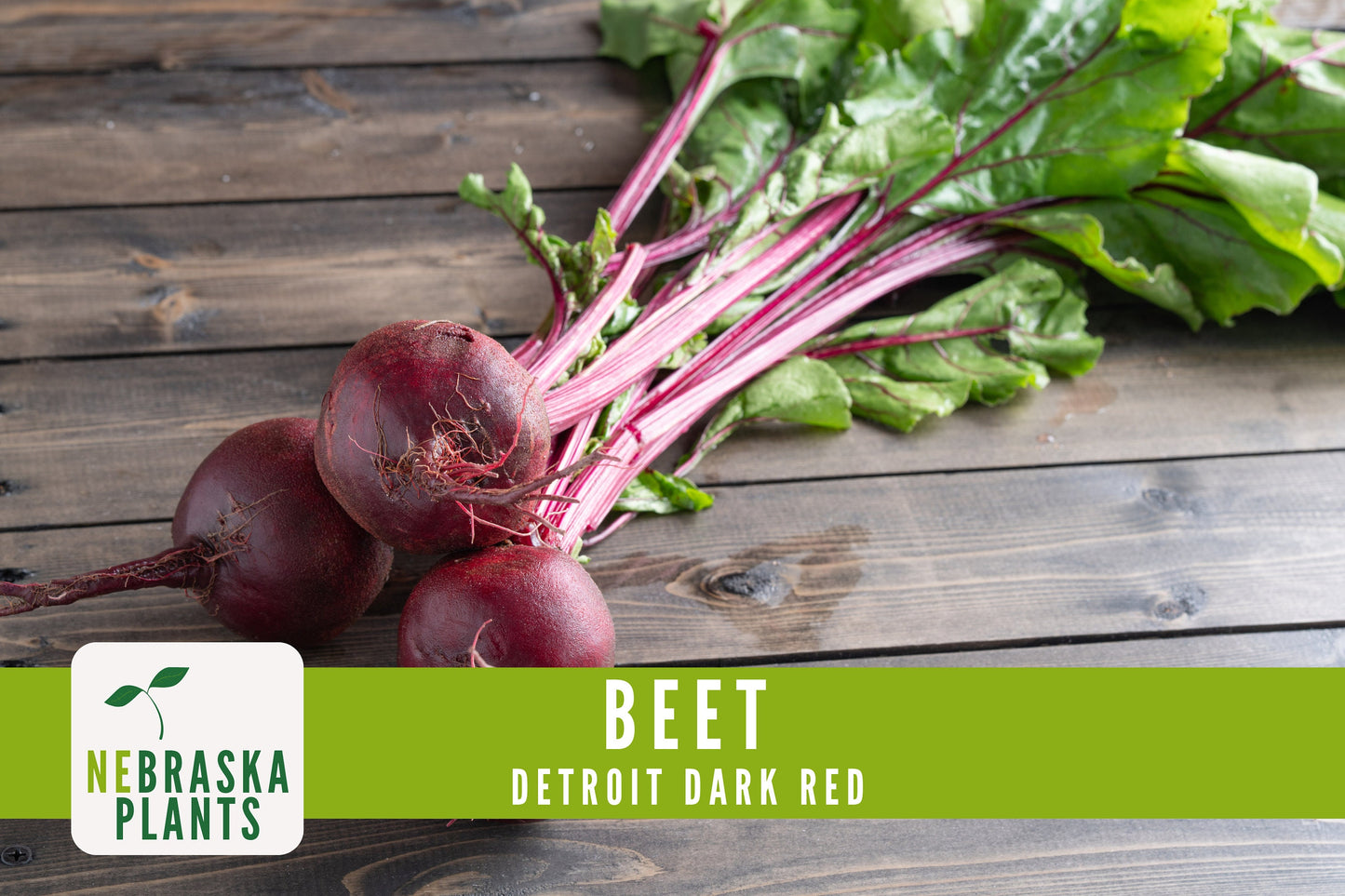 Detroit Dark Red Beet Seeds - Nebraska Seeds