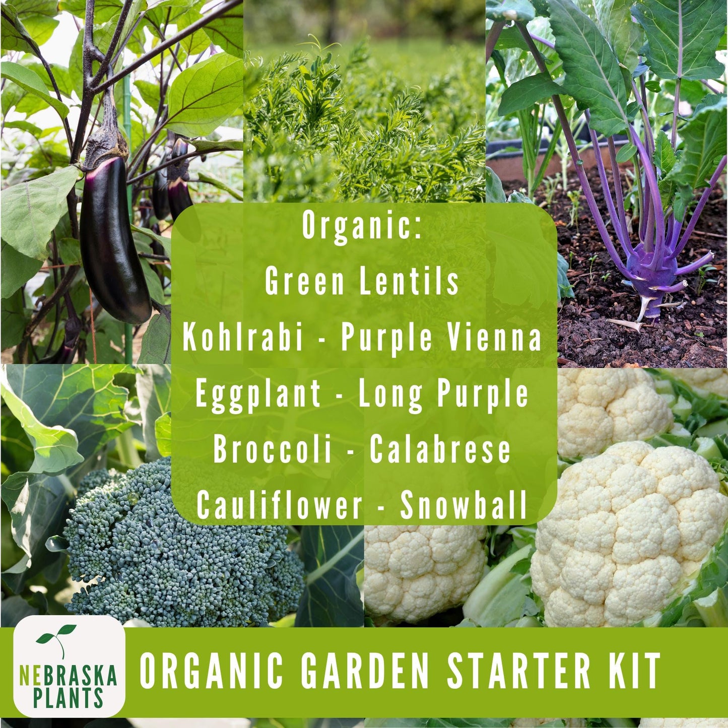 Organic Garden Starter Kit - 25 Organic Heirloom Seed Varieties + Plant Markers and Gardening Journal - Nebraska Seeds
