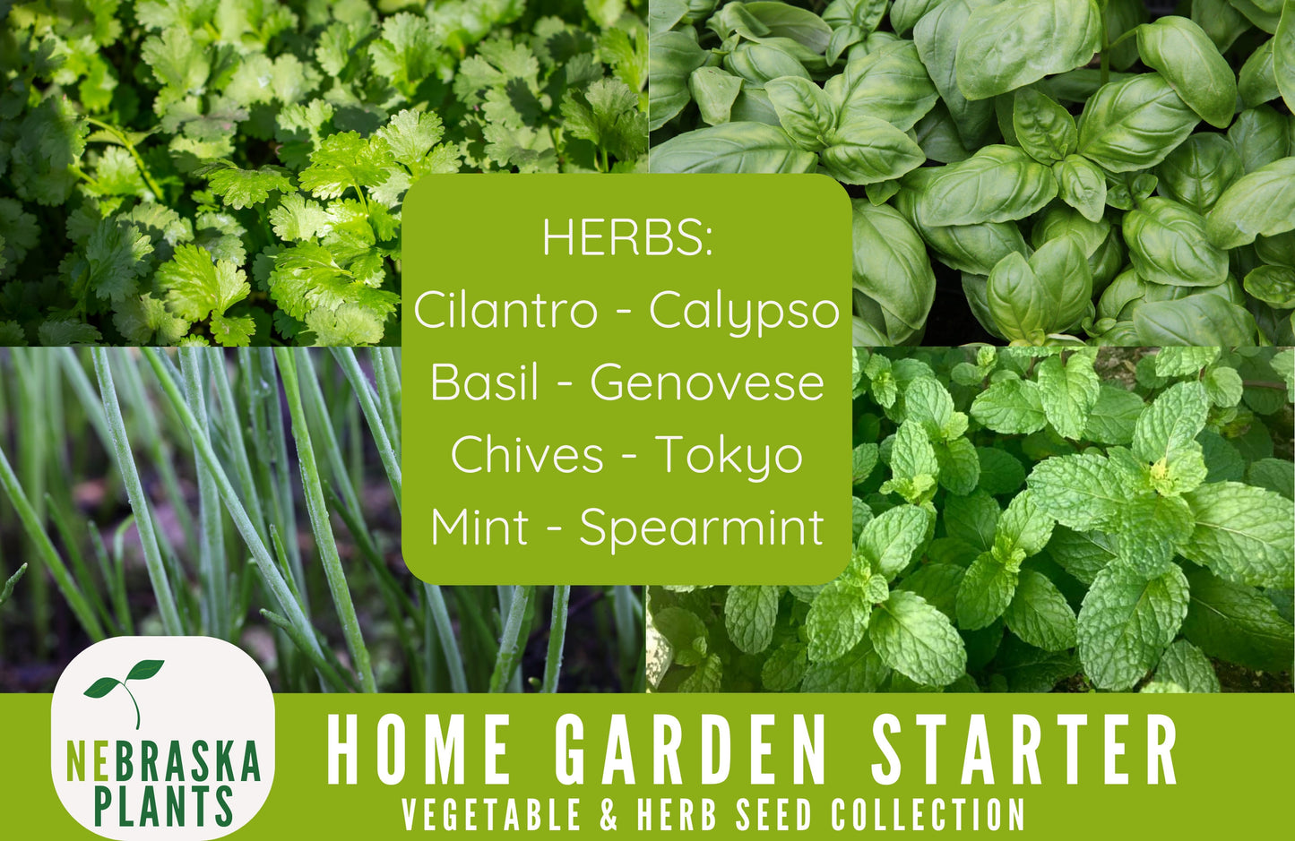 Garden Starter Seed Kit - Vegetable and Herb Garden Seeds - Nebraska Seeds