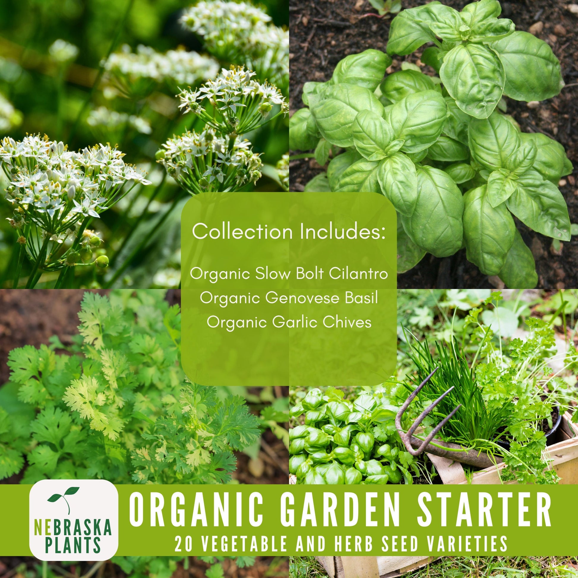 Organic Garden Starter Collection - 20 Organic Heirloom Vegetable and Herb Seeds - Nebraska Seeds