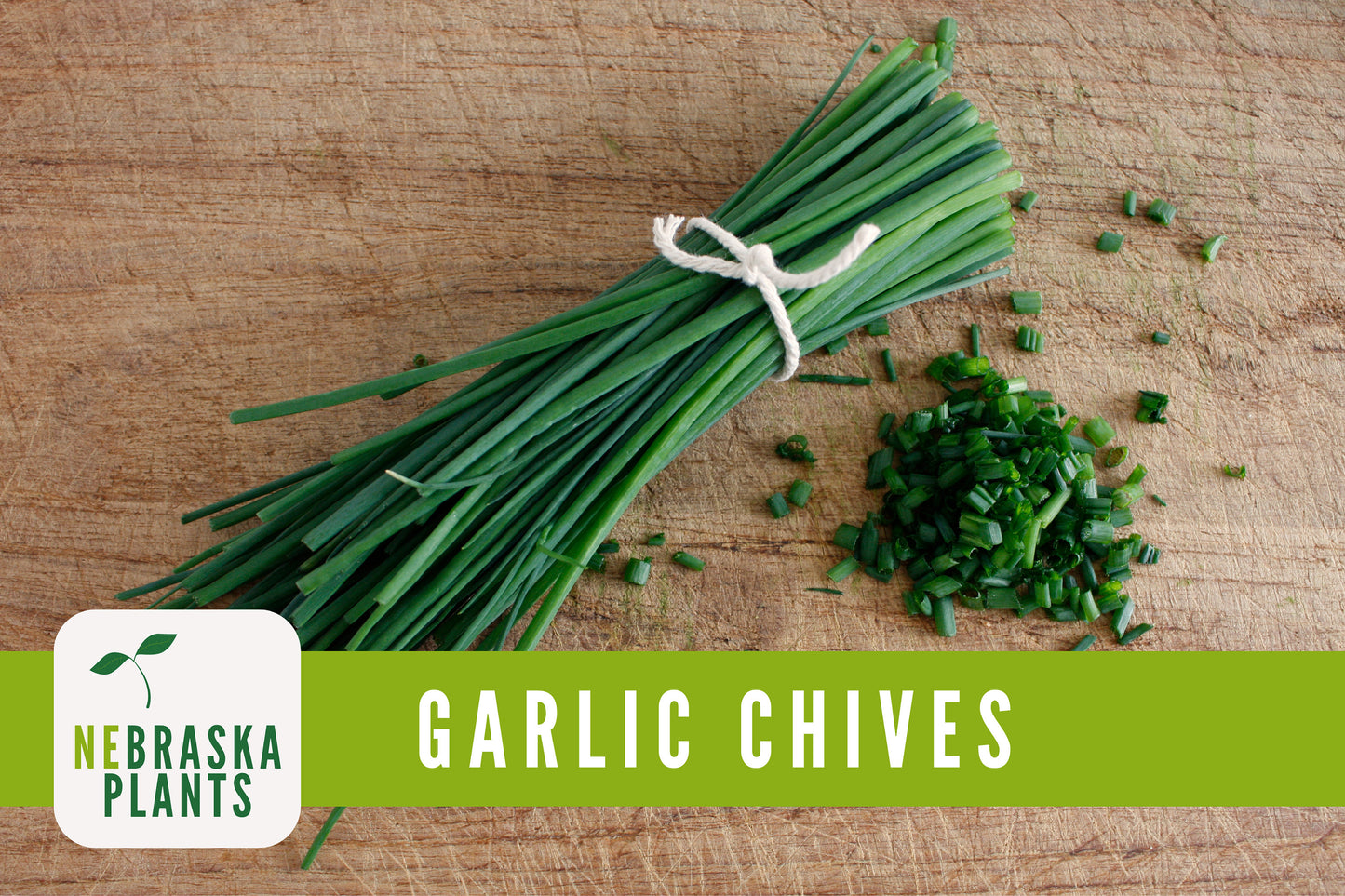 Garlic Chives Heirloom Seeds - Nebraska Seeds