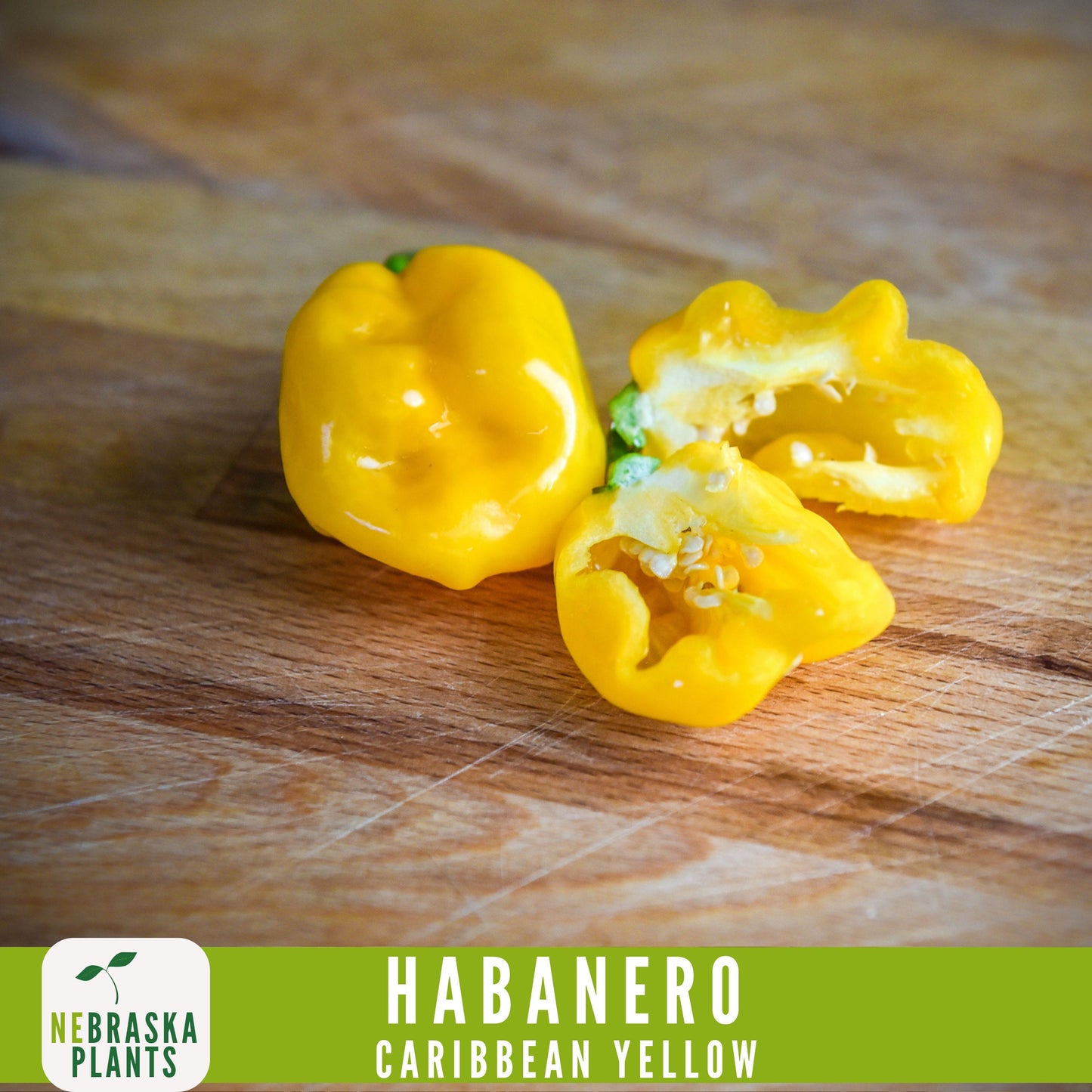 Caribbean Yellow Habanero Seeds - Nebraska Seeds