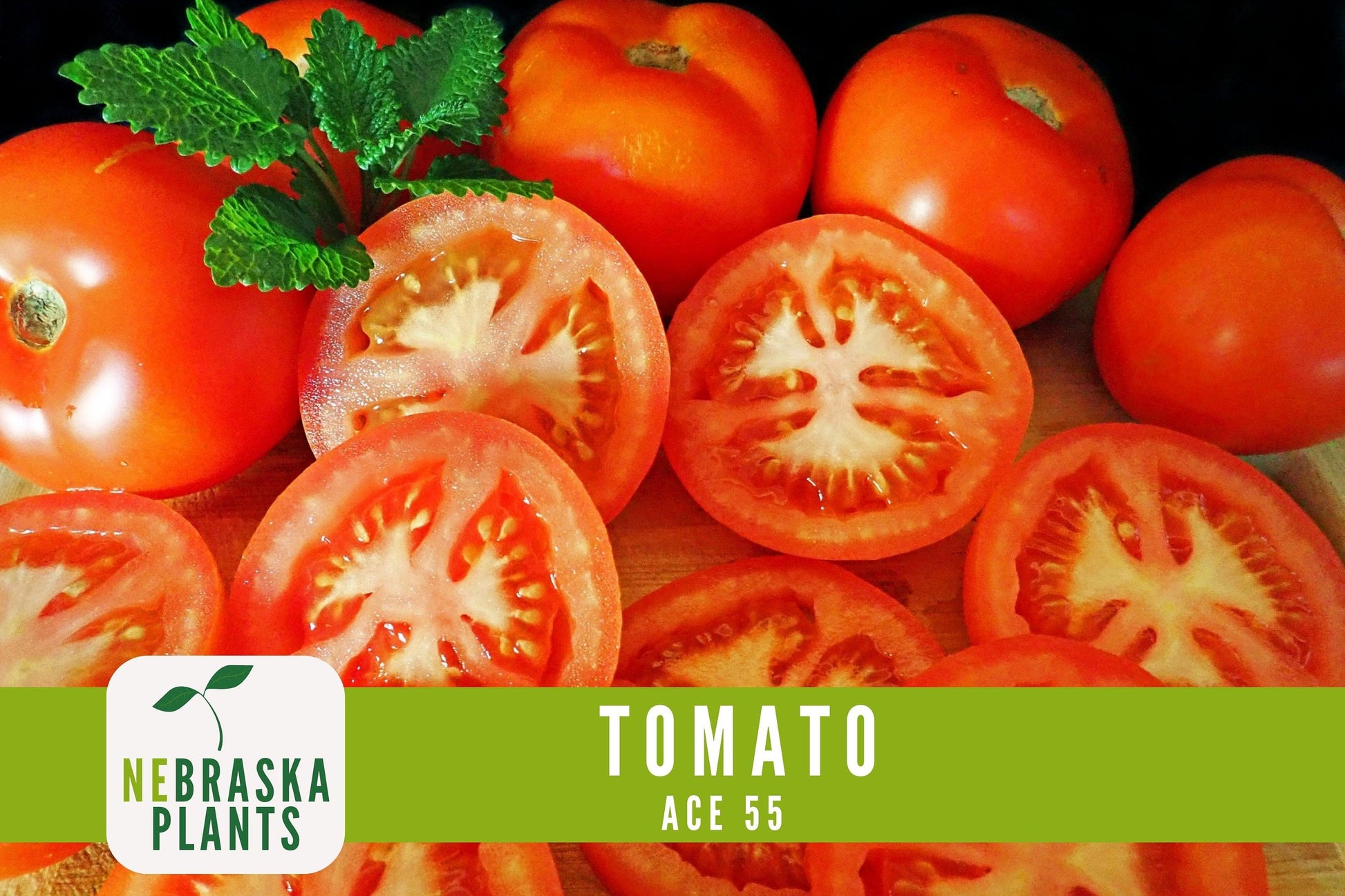 Tomato Seeds - Ace 55 Slicer Heirloom Garden Seeds - Nebraska Seeds