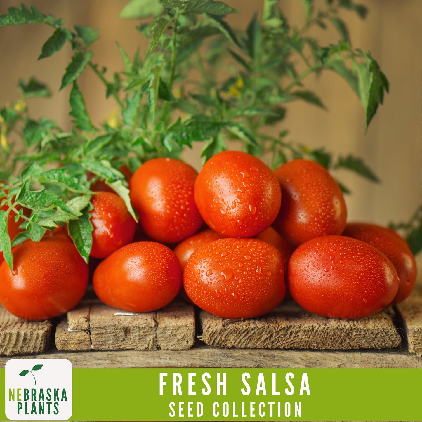 Garden Salsa Seed Collection - Heirloom Seeds for Making Salsa - Nebraska Seeds