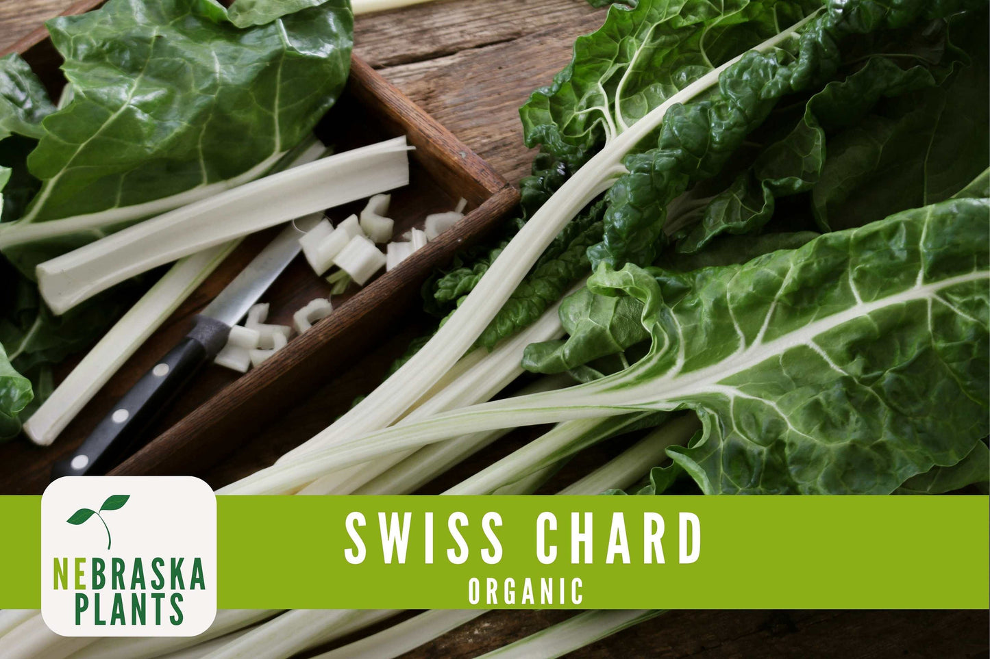 Organic Fordhook Swiss Chard Seeds - Nebraska Seeds