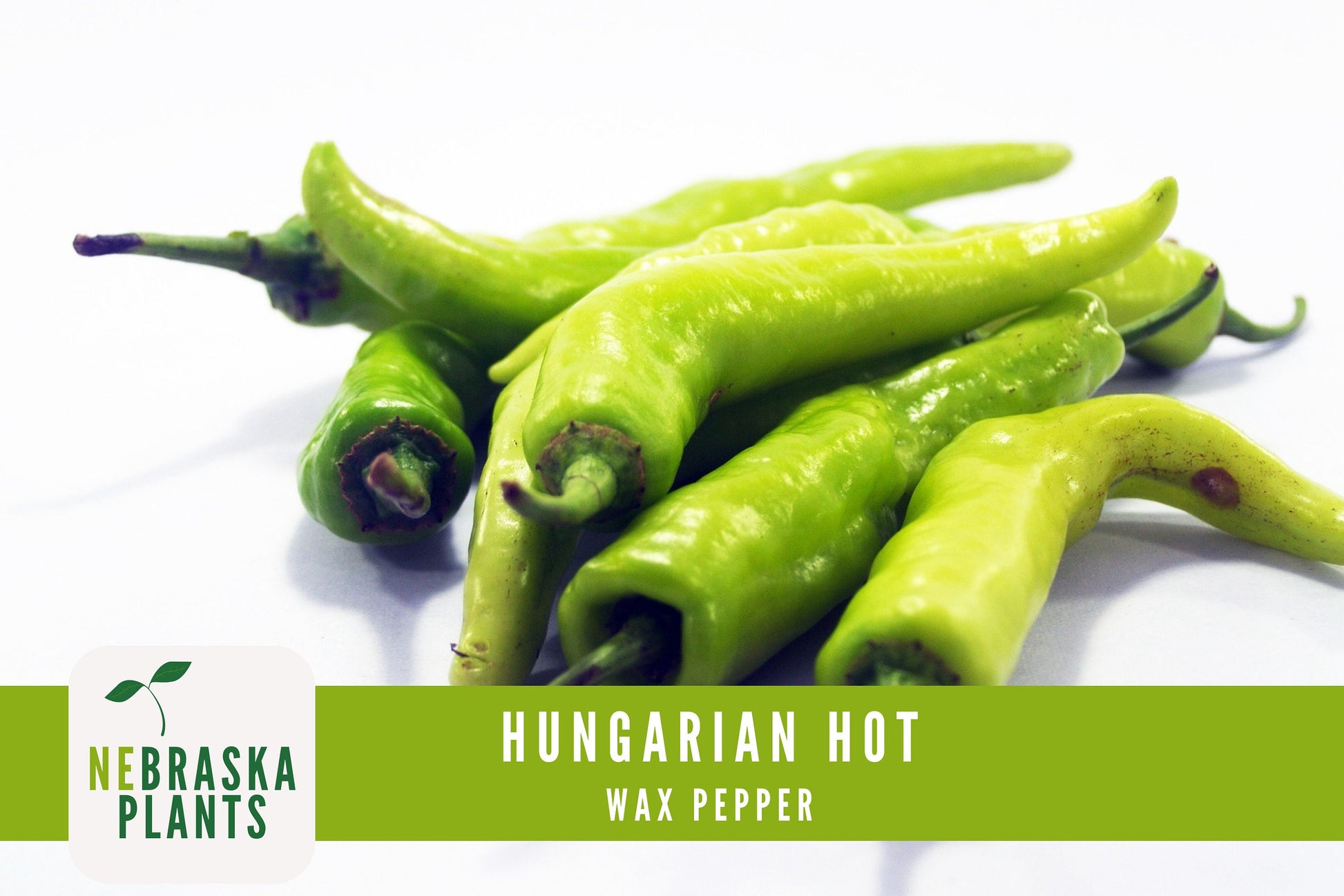 Hungarian Wax Pepper Seeds - Nebraska Seeds