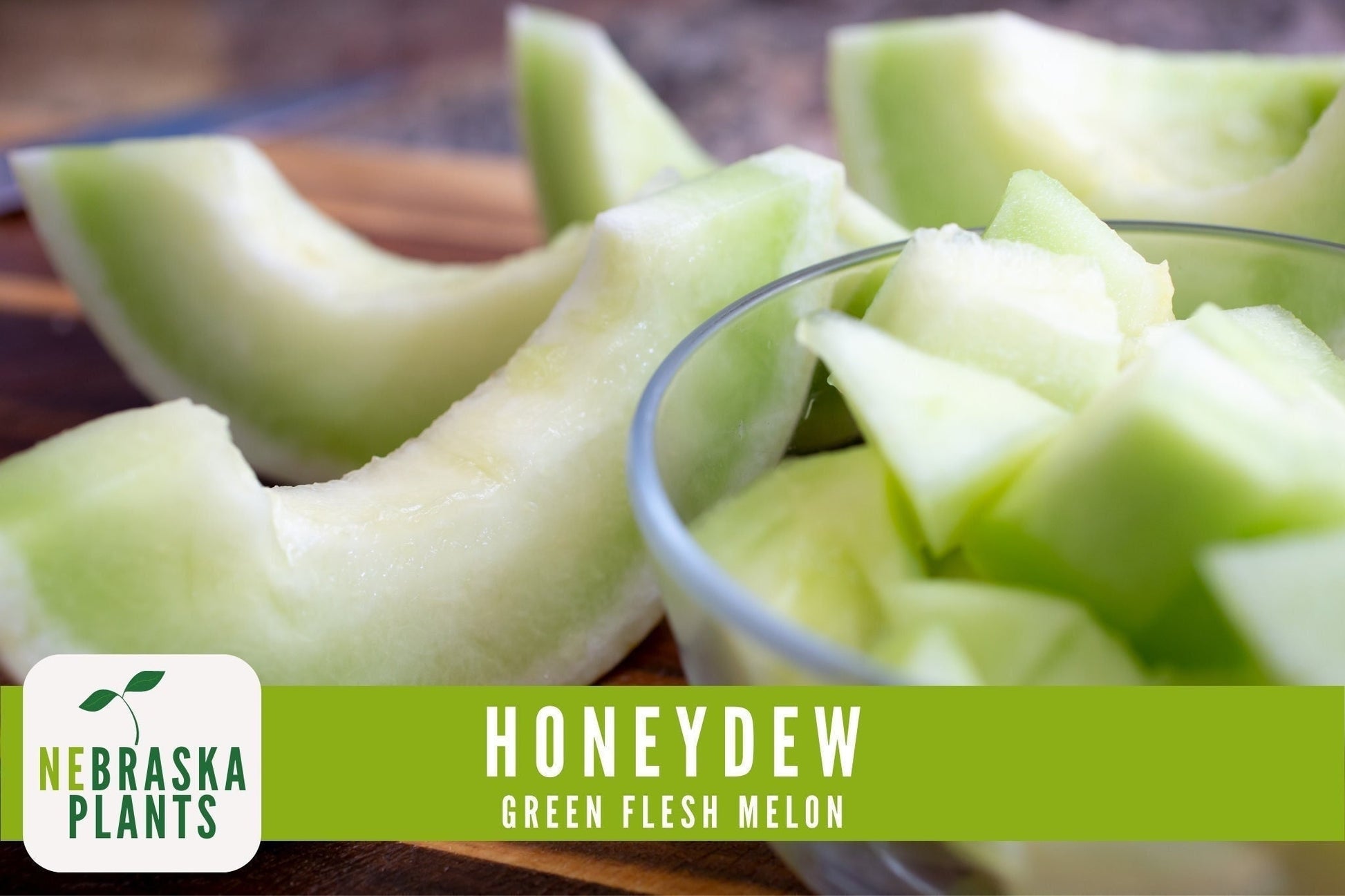 Green Honeydew Melon Seeds - Nebraska Seeds