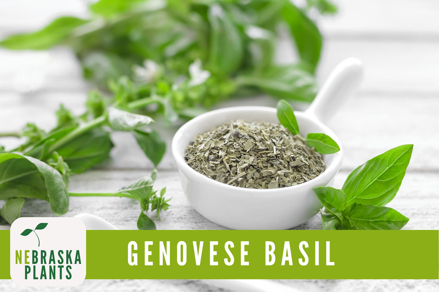 Genovese Basil Heirloom Seeds - Nebraska Seeds