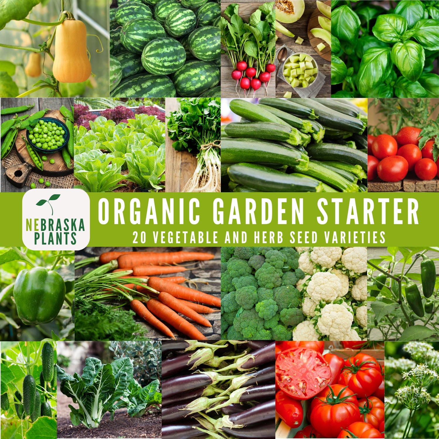 Organic Garden Starter Collection - 20 Organic Heirloom Vegetable and Herb Seeds - Nebraska Seeds