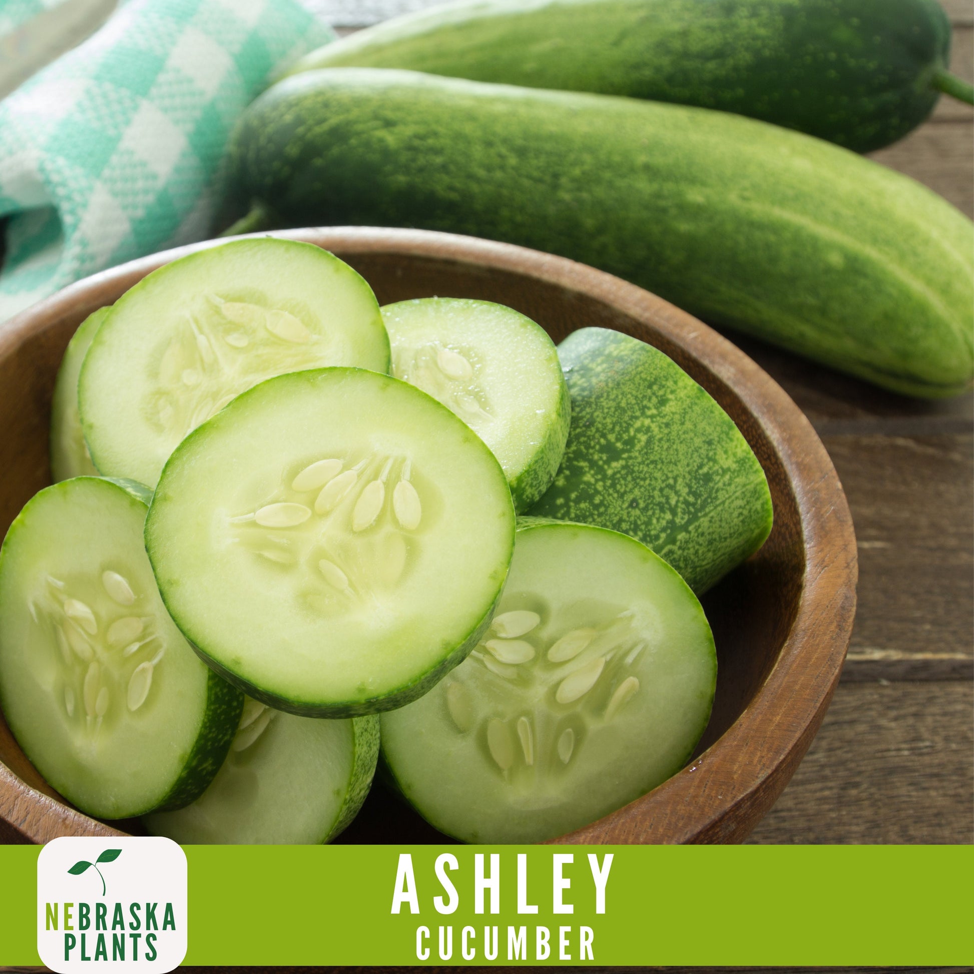 Ashley Cucumber Seeds - Nebraska Seeds