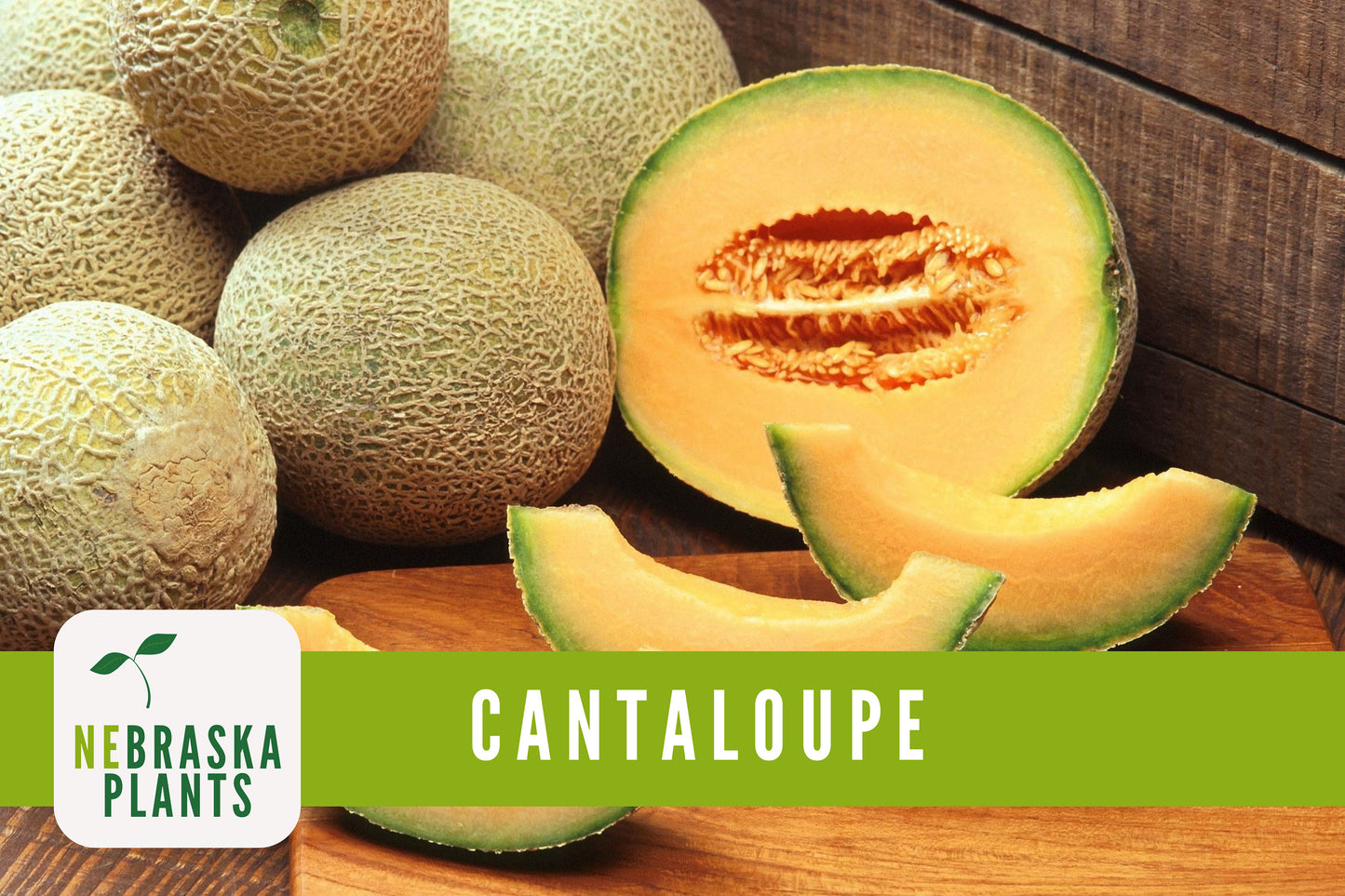 Hale's Best Cantaloupe Seeds - Nebraska Seeds