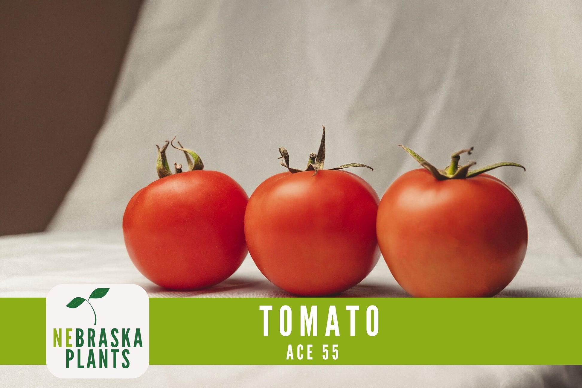 Tomato Seeds - Ace 55 Slicer Heirloom Garden Seeds - Nebraska Seeds