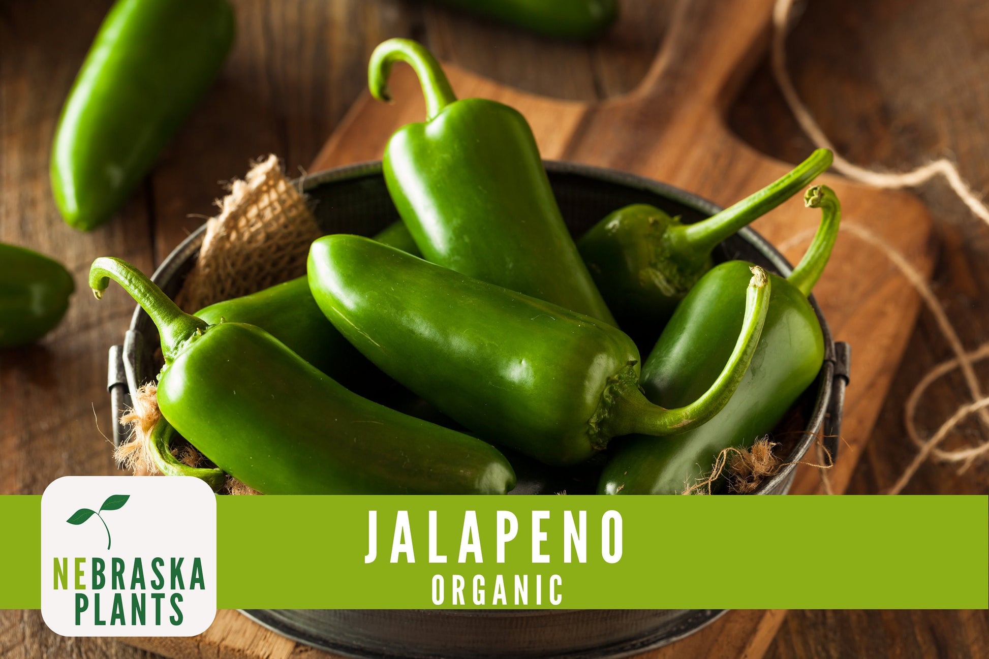 Organic Jalapeño Pepper Seeds - Nebraska Seeds