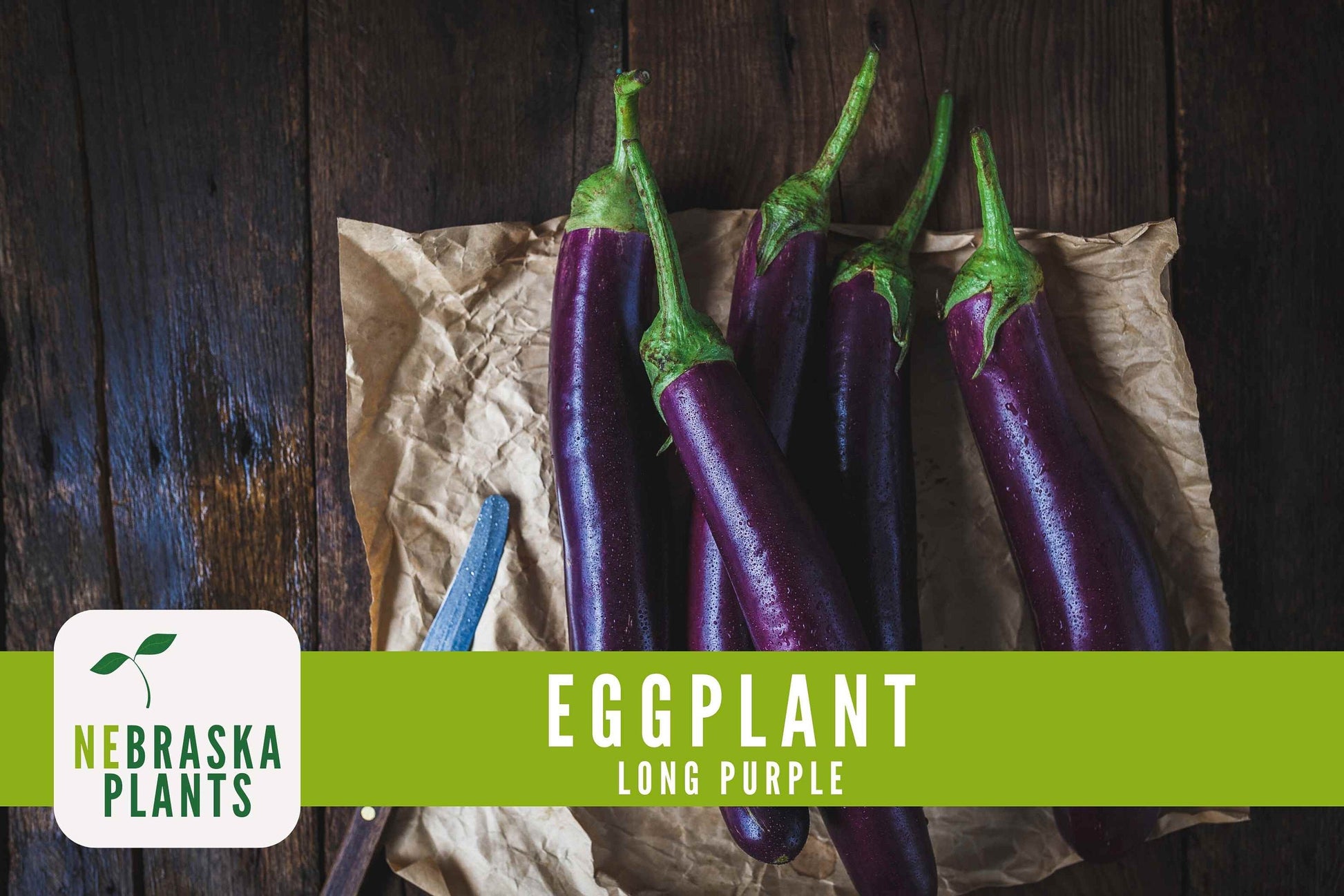 Long Purple Eggplant Seeds - Nebraska Seeds