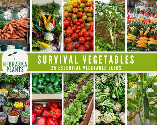 Essential Vegetable Collection - 25 Vegetable Seed Varieties for Long-Term Storage - Nebraska Seeds