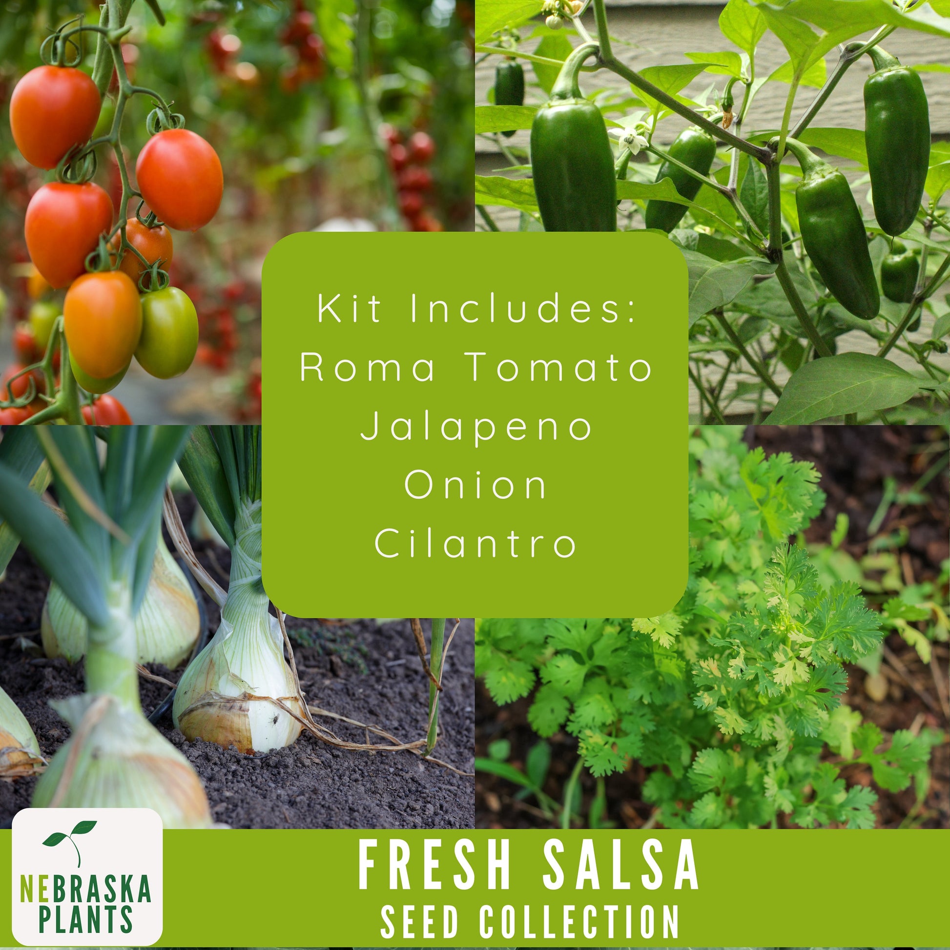 Garden Salsa Seed Collection - Heirloom Seeds for Making Salsa - Nebraska Seeds