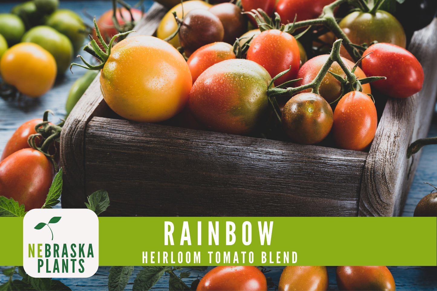 Rainbow Tomato Seeds -  Heirloom Rainbow Tomato Seed Mix - Nebraska Seeds