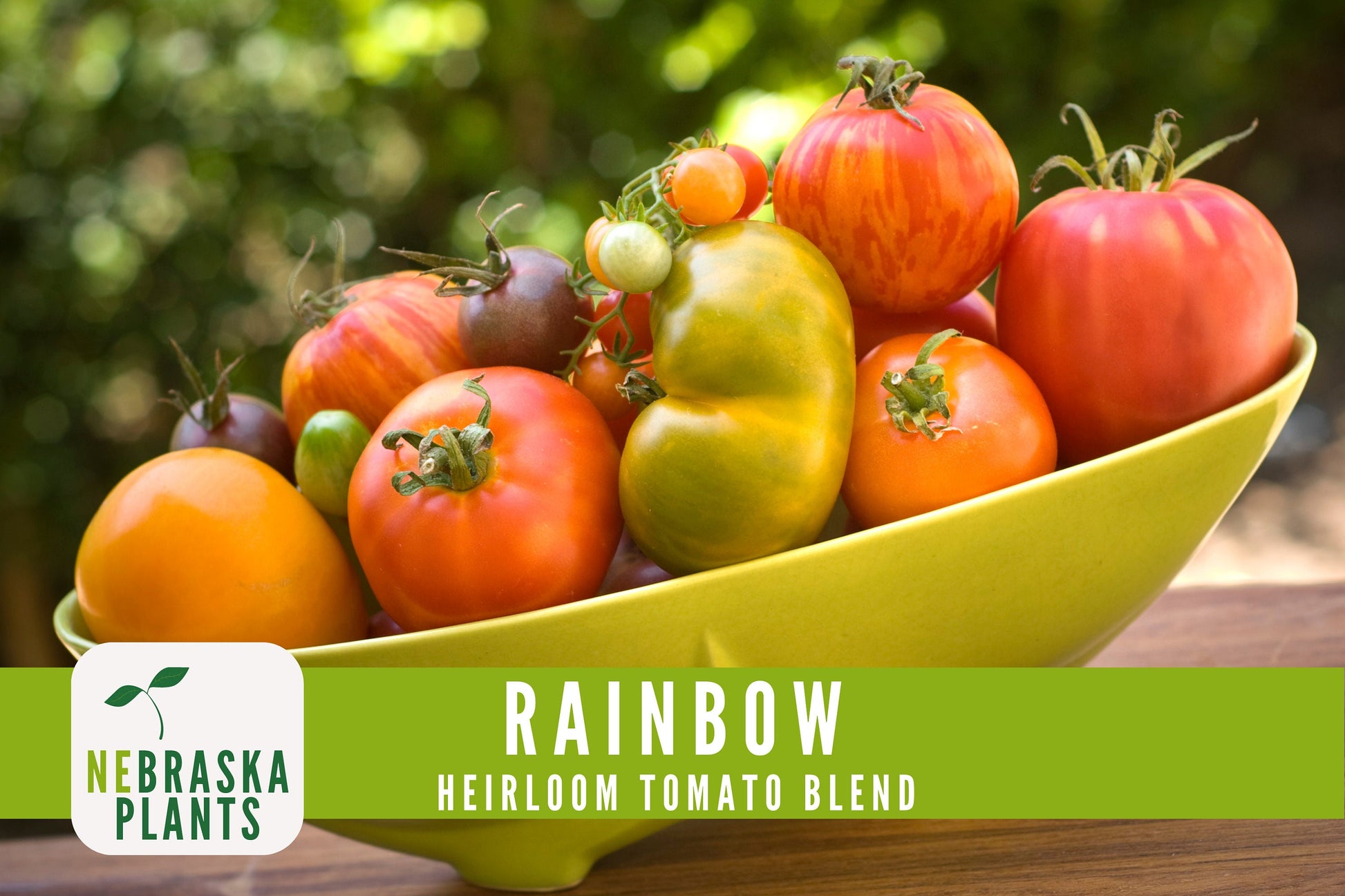 Rainbow Tomato Seeds -  Heirloom Rainbow Tomato Seed Mix - Nebraska Seeds