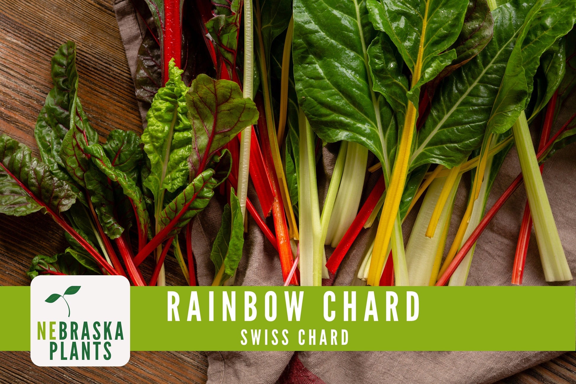 Swiss Chard Seeds - Rainbow Swiss Chard Heirloom Seeds - Nebraska Seeds