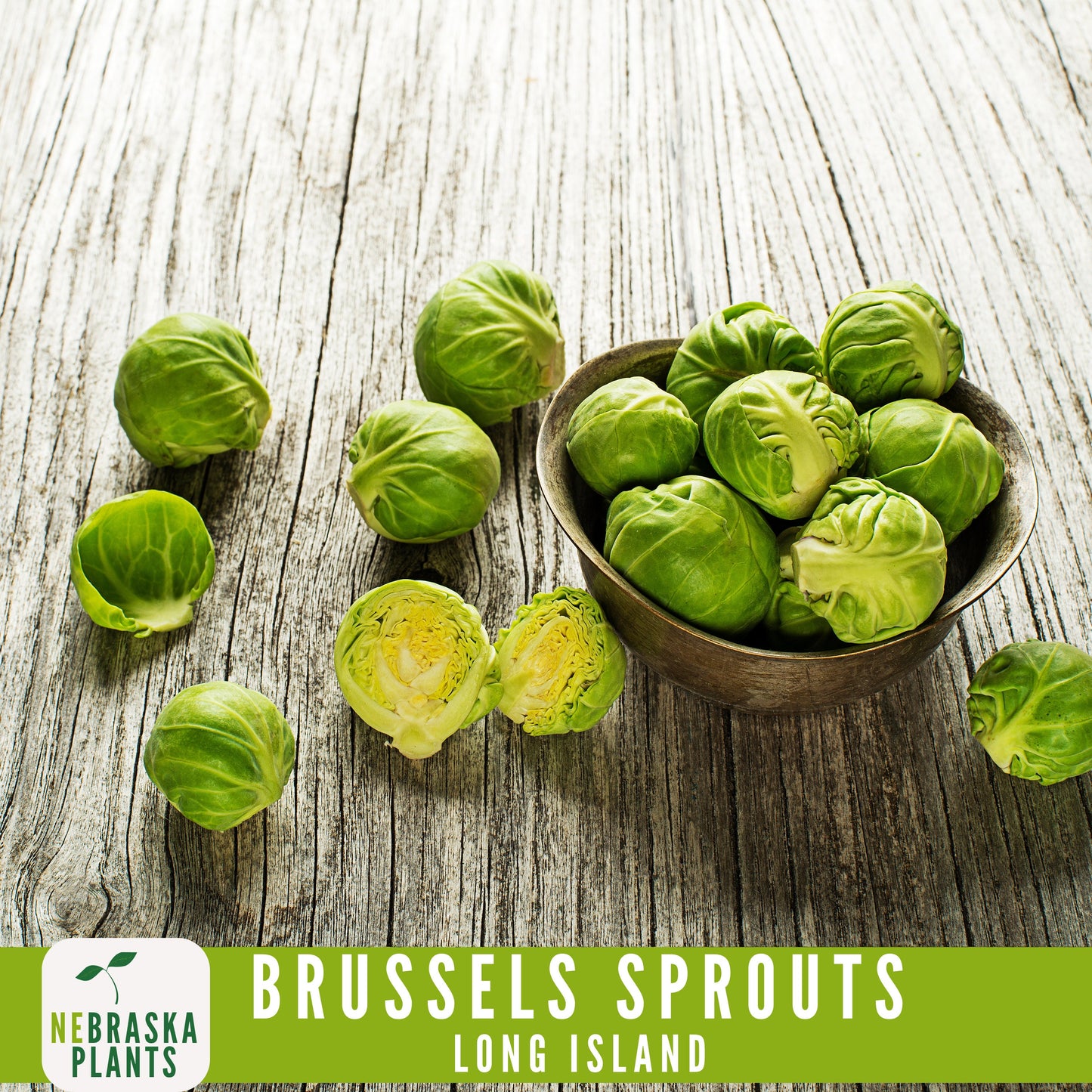 Long Island Brussels Sprouts Seeds - Nebraska Seeds