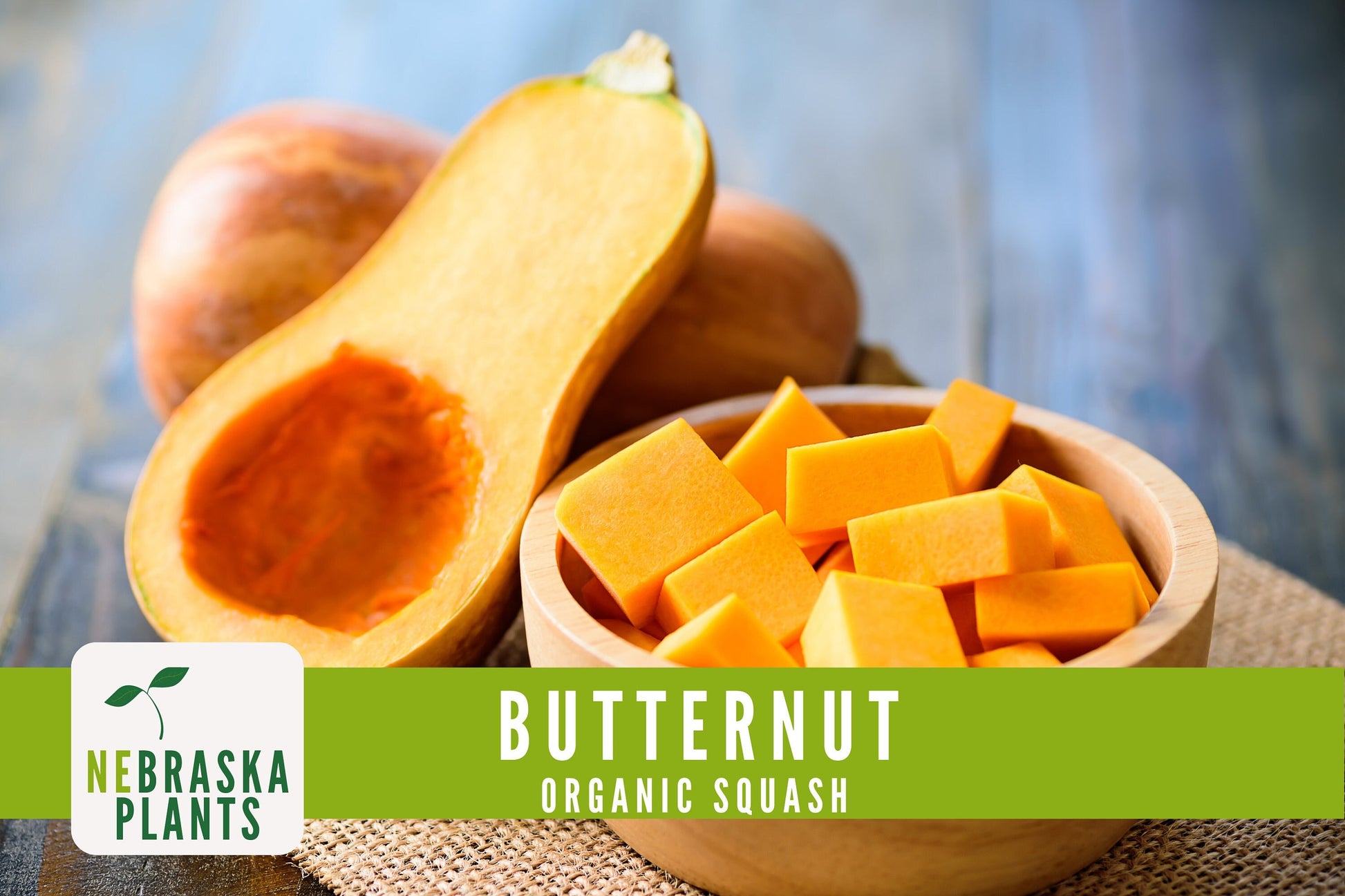 Organic Waltham Butternut Squash Seeds - Nebraska Seeds