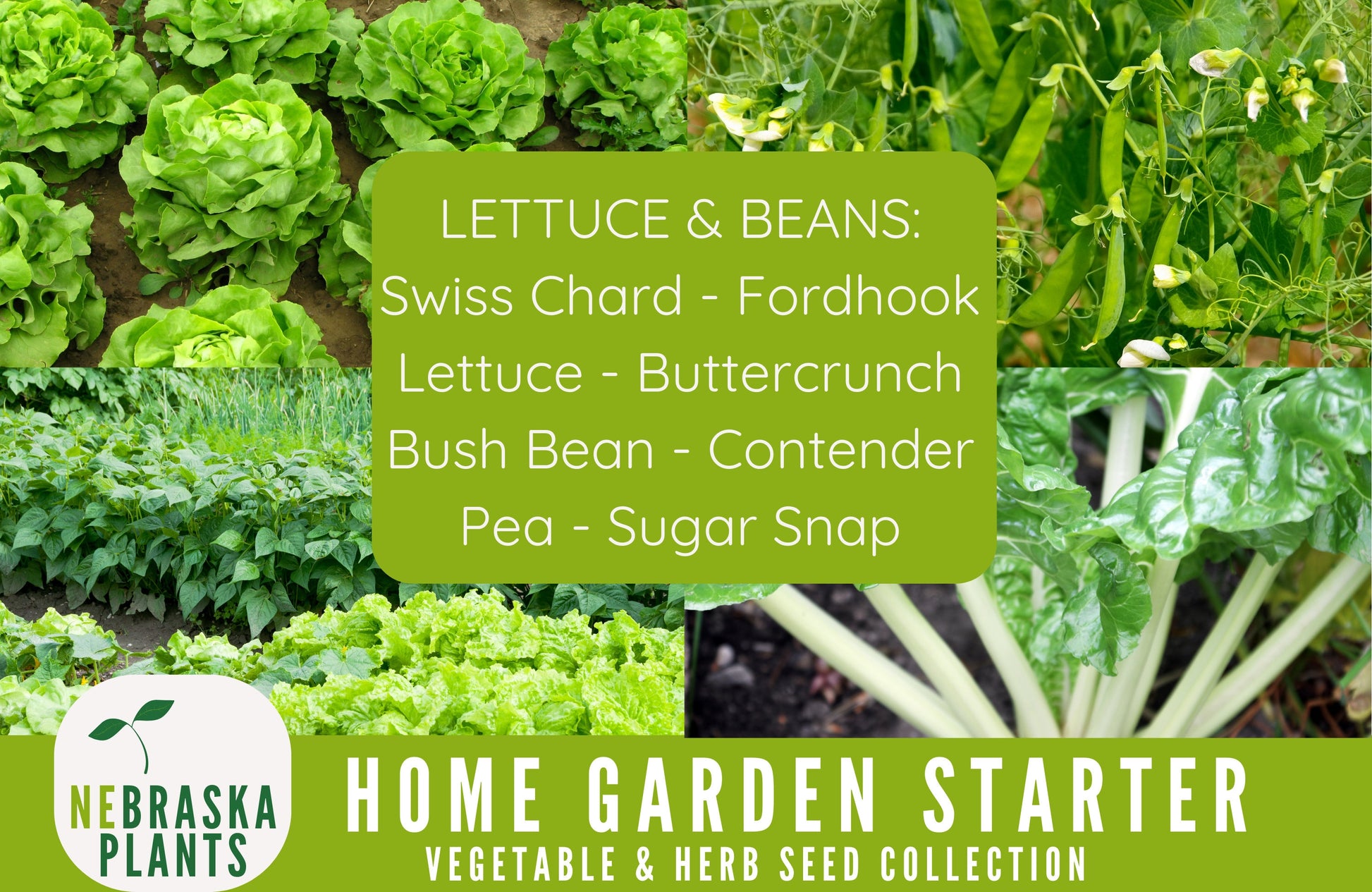 Garden Starter Seed Kit - Vegetable and Herb Garden Seeds - Nebraska Seeds