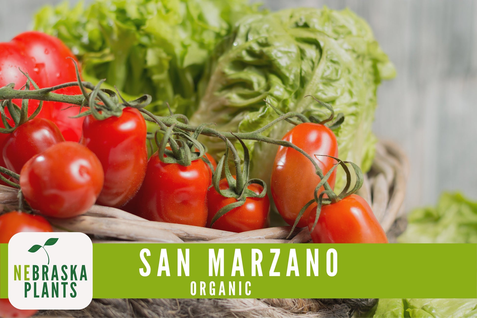 San Marzano Organic Tomato Seeds - Heirloom, Non-GMO - Grow the Authentic Italian Flavor! - Nebraska Seeds