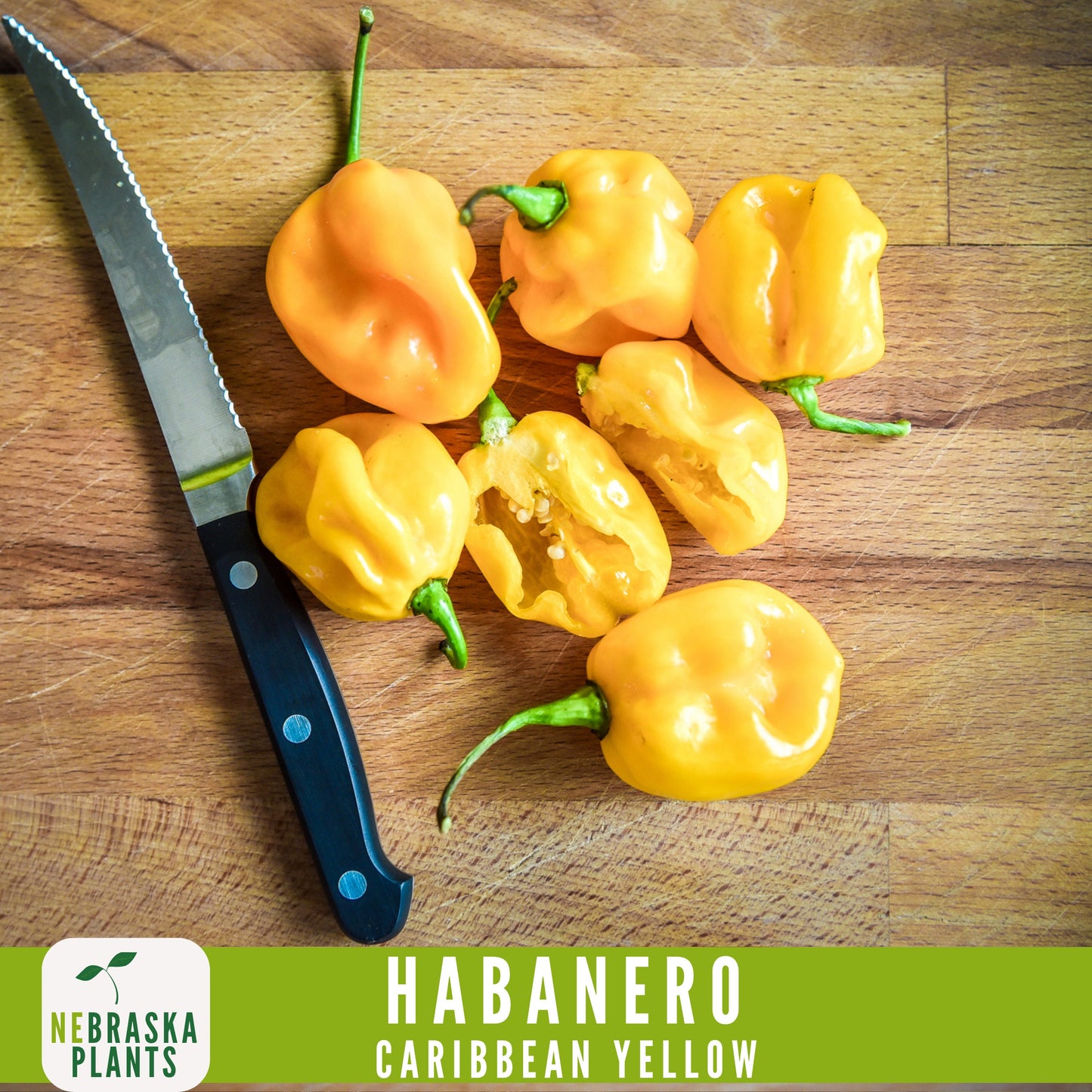 Caribbean Yellow Habanero Seeds - Nebraska Seeds