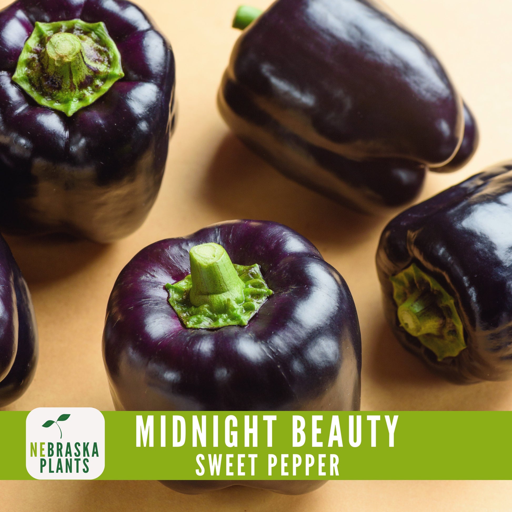 Midnight Beauty Bell Pepper - Nebraska Seeds