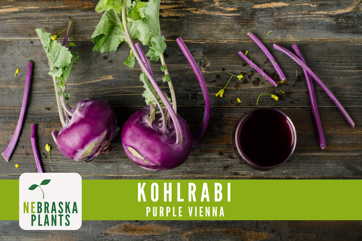 Organic Purple Vienna Kohlrabi Seeds - Nebraska Seeds