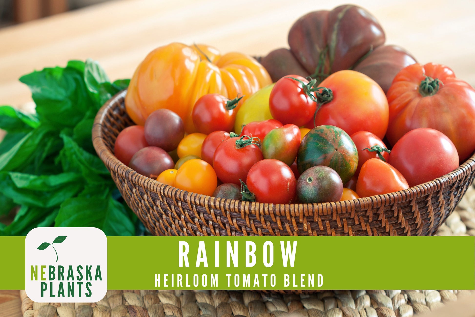 Rainbow Tomato Seeds -  Heirloom Rainbow Tomato Seed Mix - Nebraska Seeds
