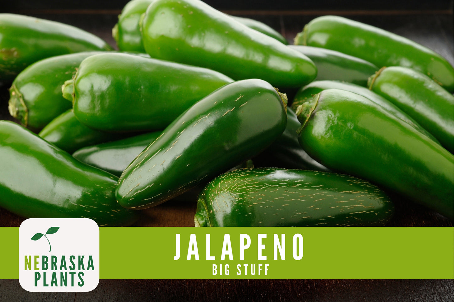 Big Stuff Jalapeño Pepper Seeds - Nebraska Seeds