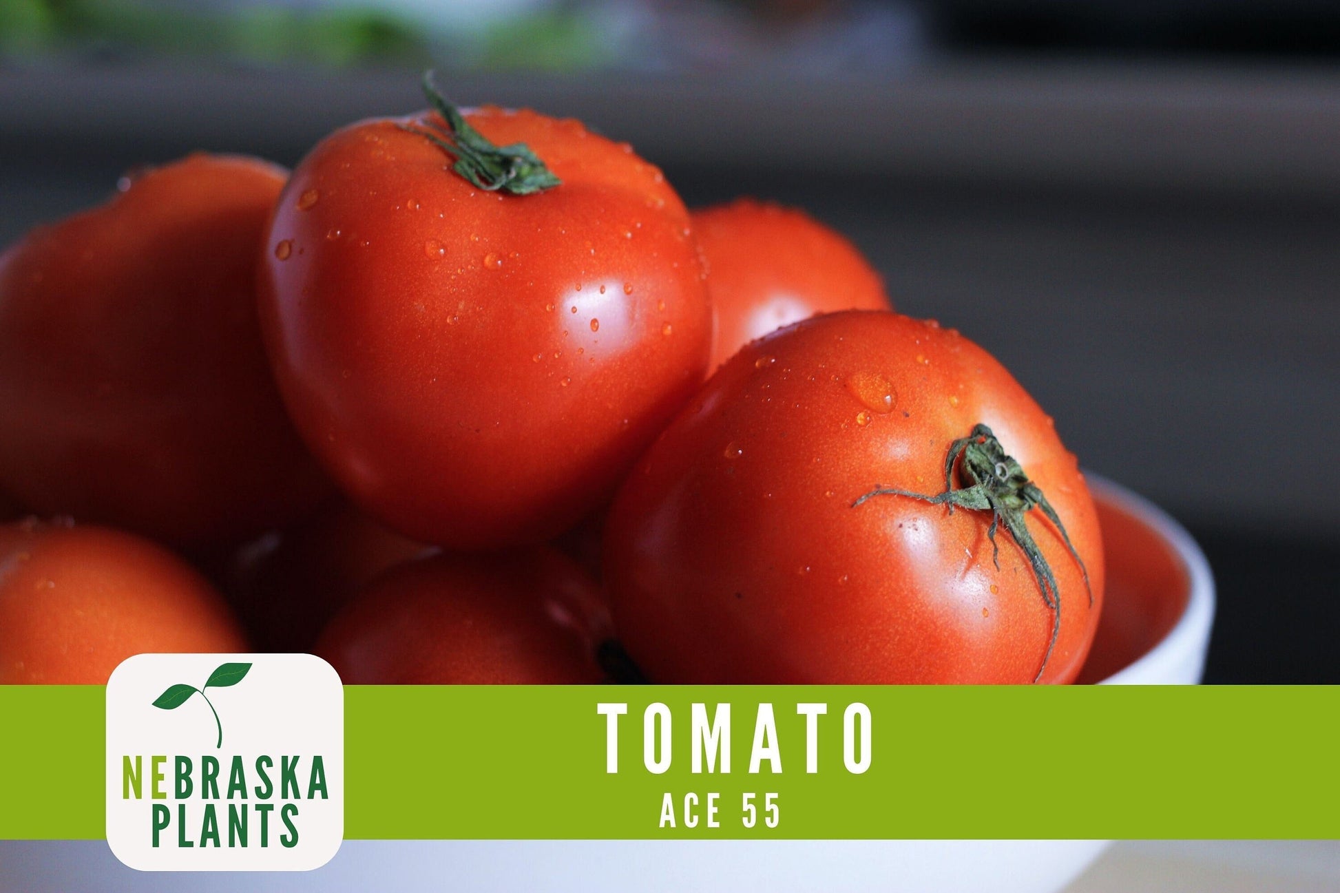 Tomato Seeds - Ace 55 Slicer Heirloom Garden Seeds - Nebraska Seeds