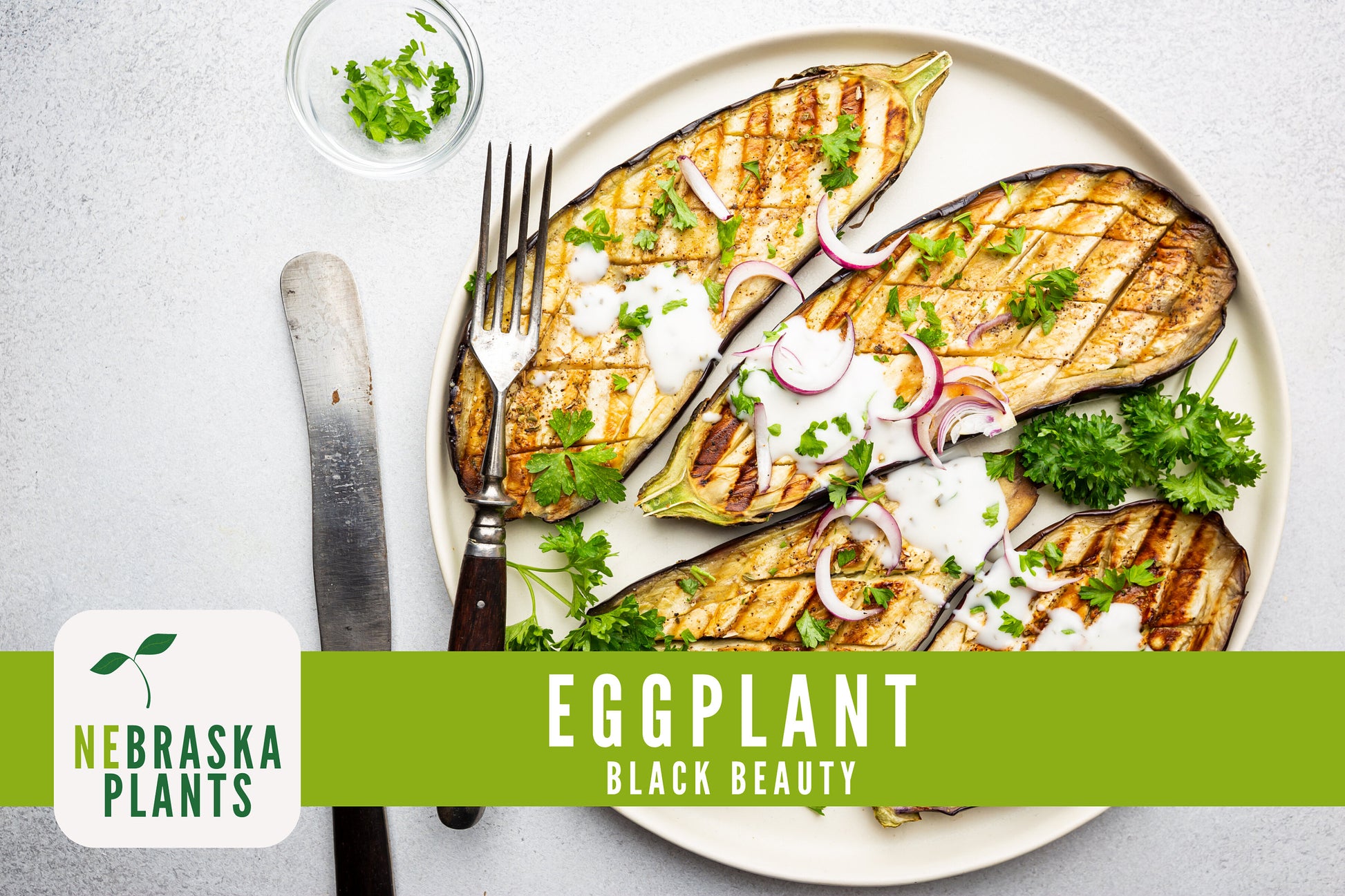 Black Beauty Eggplant Seeds - Nebraska Seeds