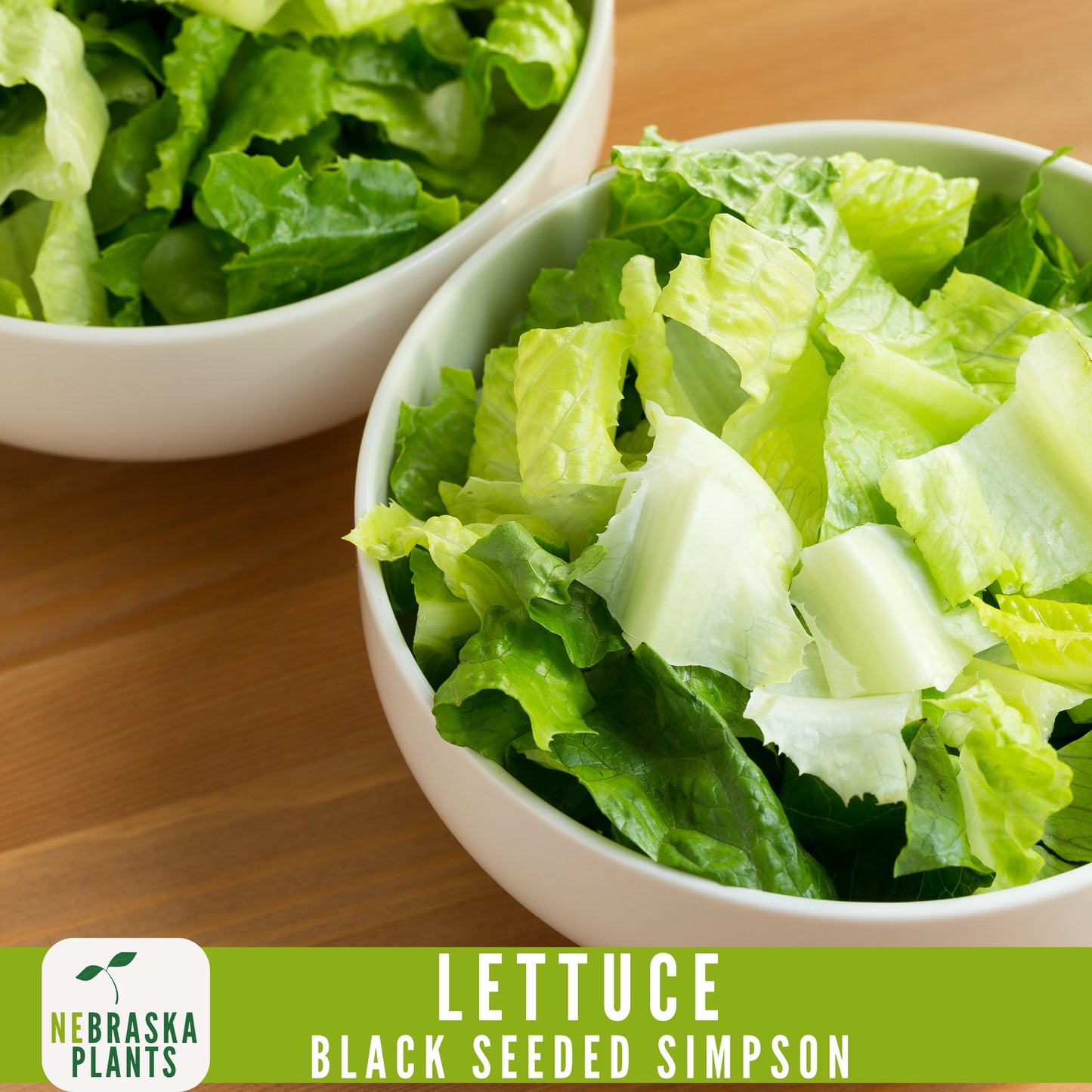 Black Seeded Simpson Lettuce Seeds - Nebraska Seeds