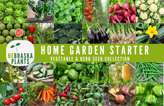 Garden Starter Seed Kit - Vegetable and Herb Garden Seeds - Nebraska Seeds