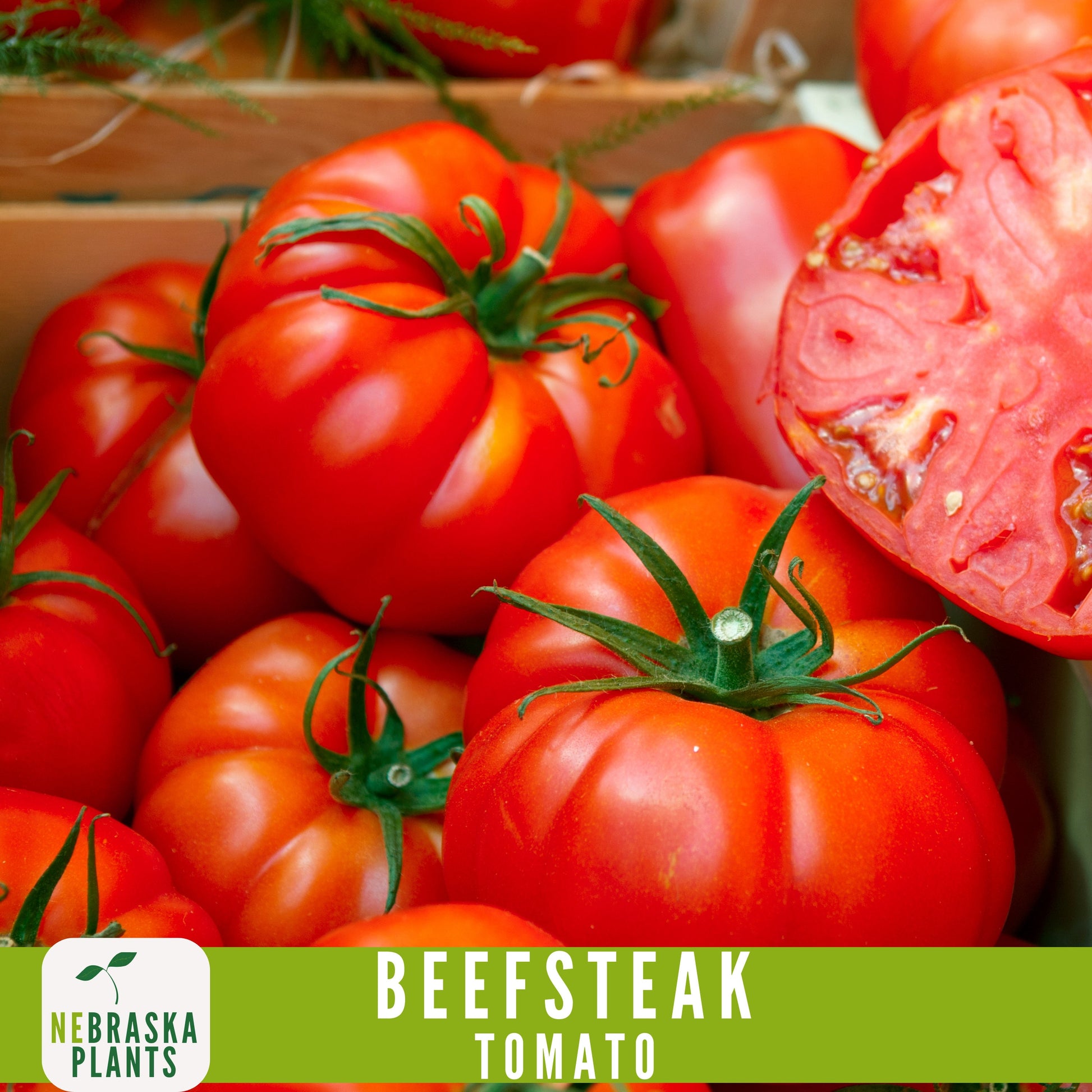 Beefsteak Tomato Seeds - Nebraska Seeds