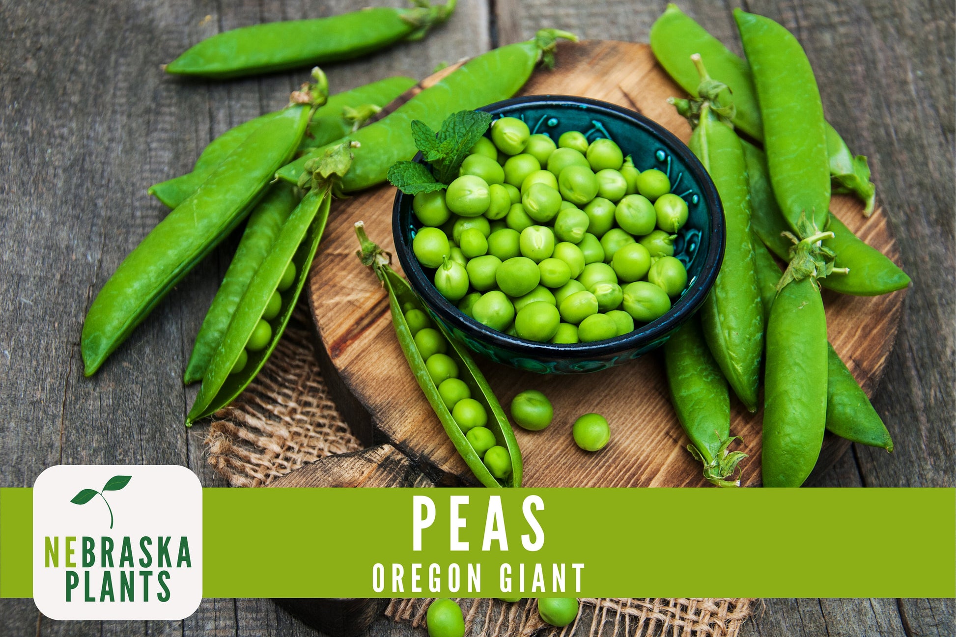 Oregon Giant Heirloom Pea Seeds - Nebraska Seeds