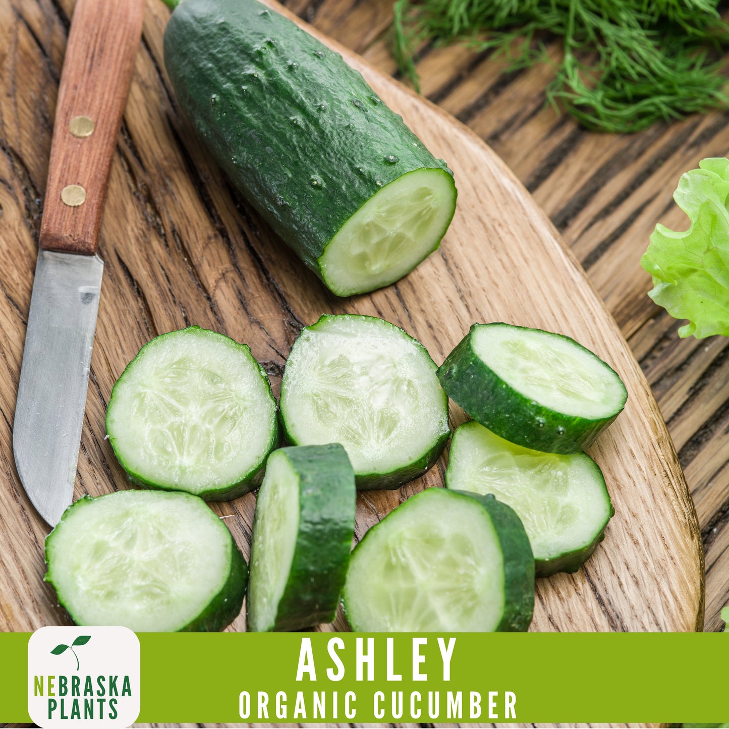 Organic Ashley Cucumber Seeds - Nebraska Seeds