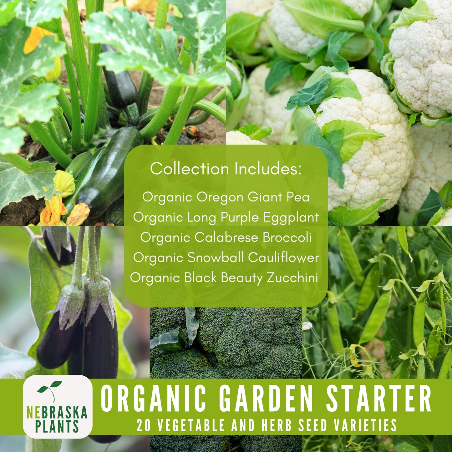 Organic Garden Starter Collection - 20 Organic Heirloom Vegetable and Herb Seeds - Nebraska Seeds