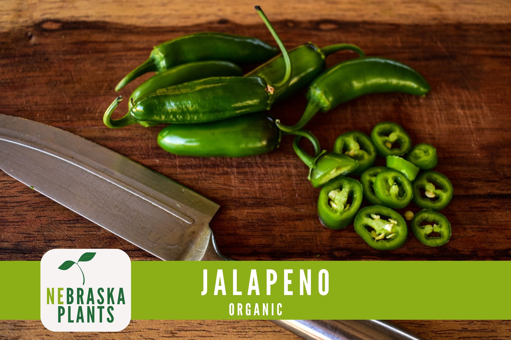 Organic Jalapeño Pepper Seeds - Nebraska Seeds