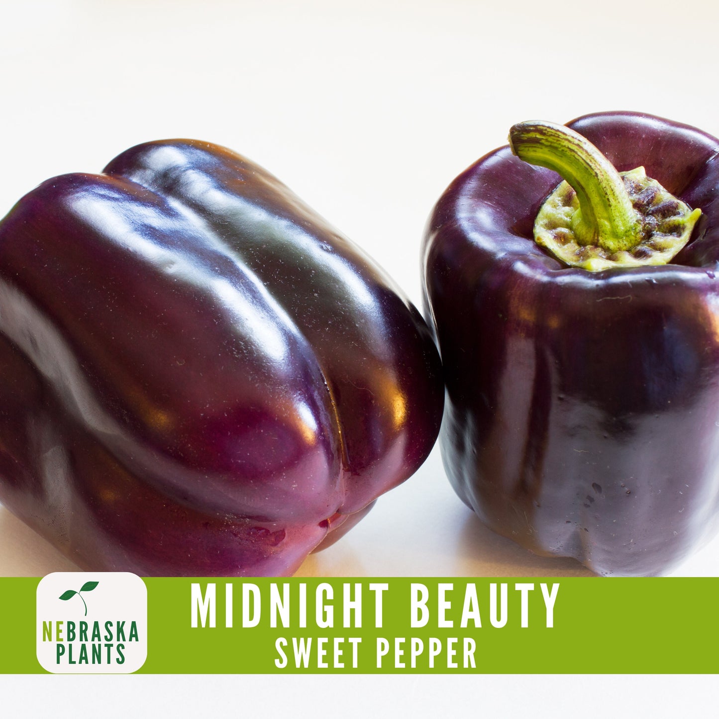 Midnight Beauty Bell Pepper - Nebraska Seeds