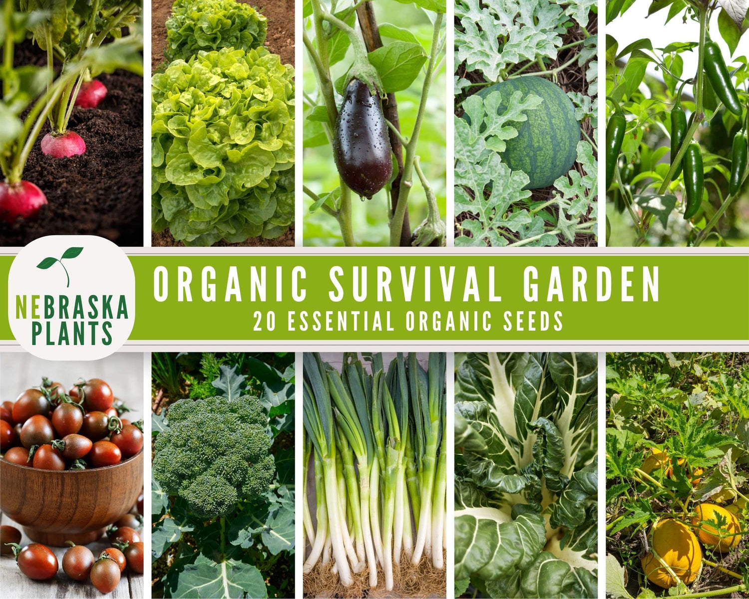 20 Organic Garden Seed Varieties - Seed Vault Collection - Nebraska Seeds