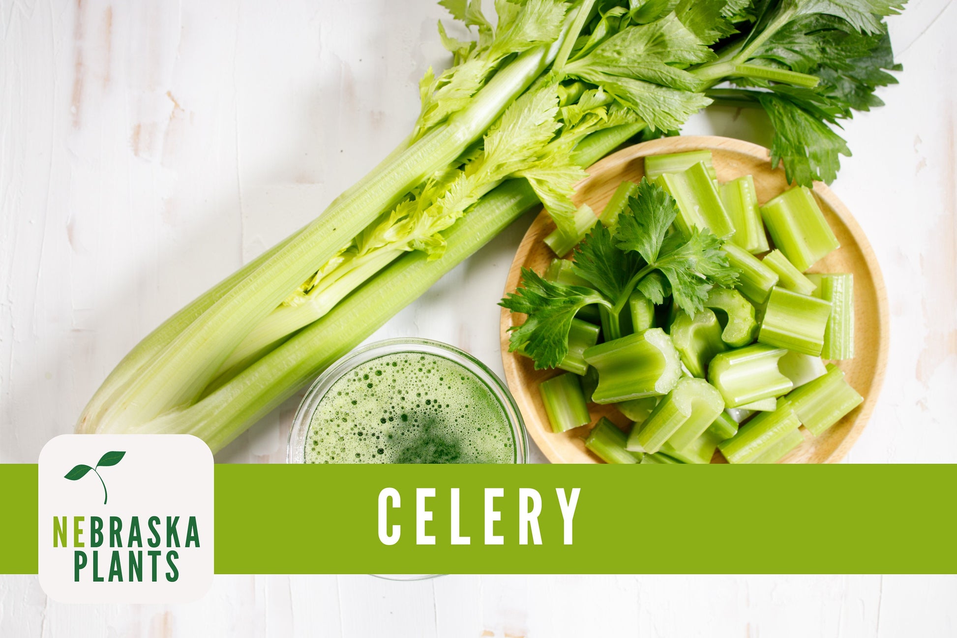 Utah 52-70 Celery Seeds - Nebraska Seeds