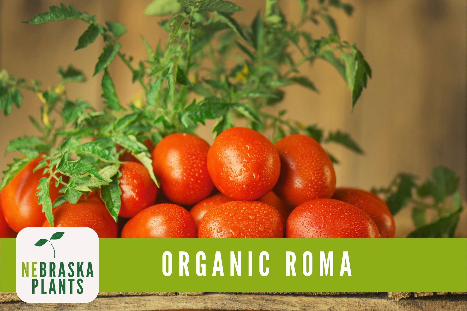 Organic Heirloom Roma Tomato Seeds - Nebraska Seeds